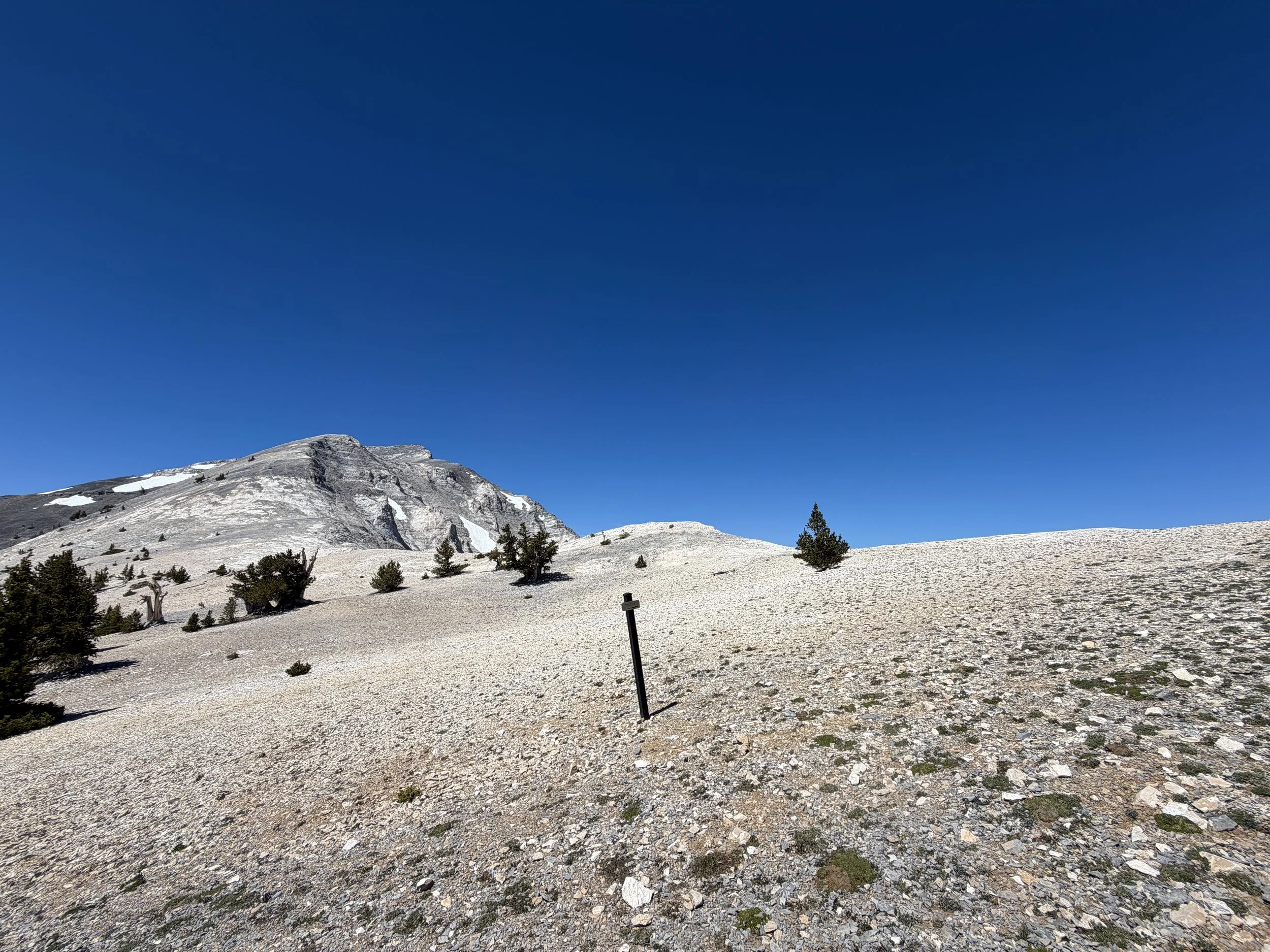 Snake Divide Trail to Mount Washington Great Basin National Park Nevada