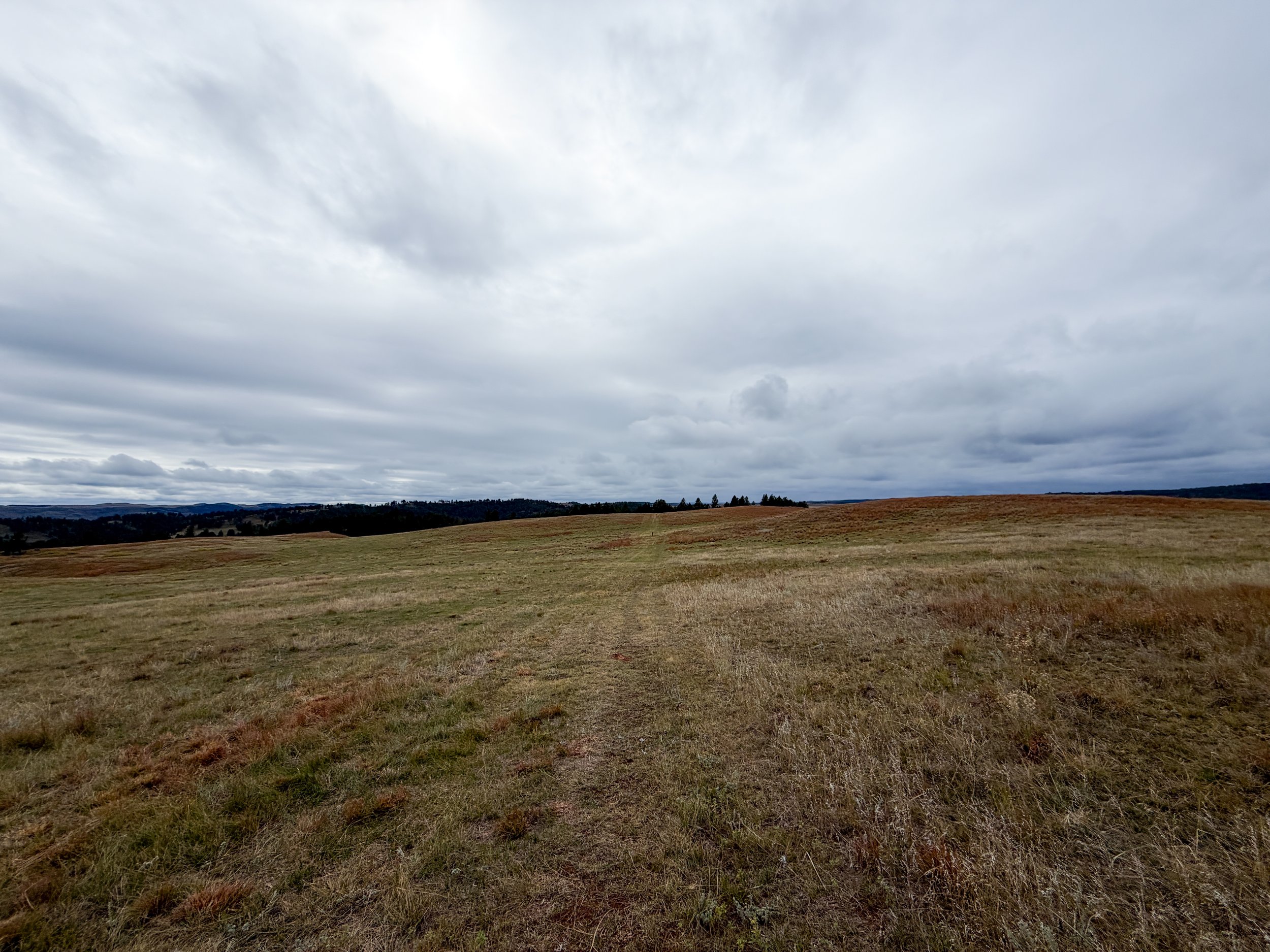 Highland Creek Trail to Wind Cave Canyon Wind Cave National Park South Dakota