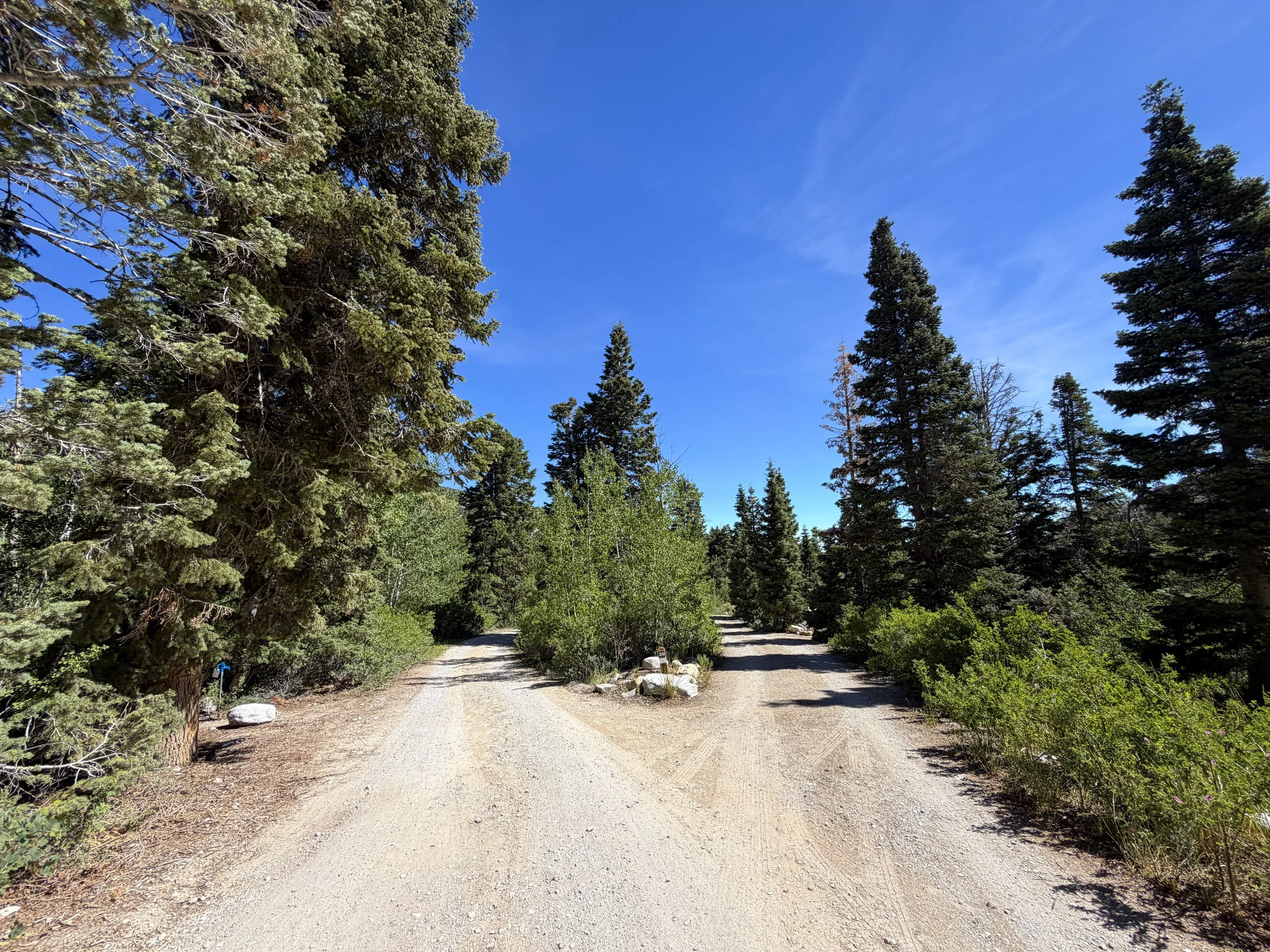 Baker Creek Campground Pole Canyon Trail Great Basin National Park Nevada