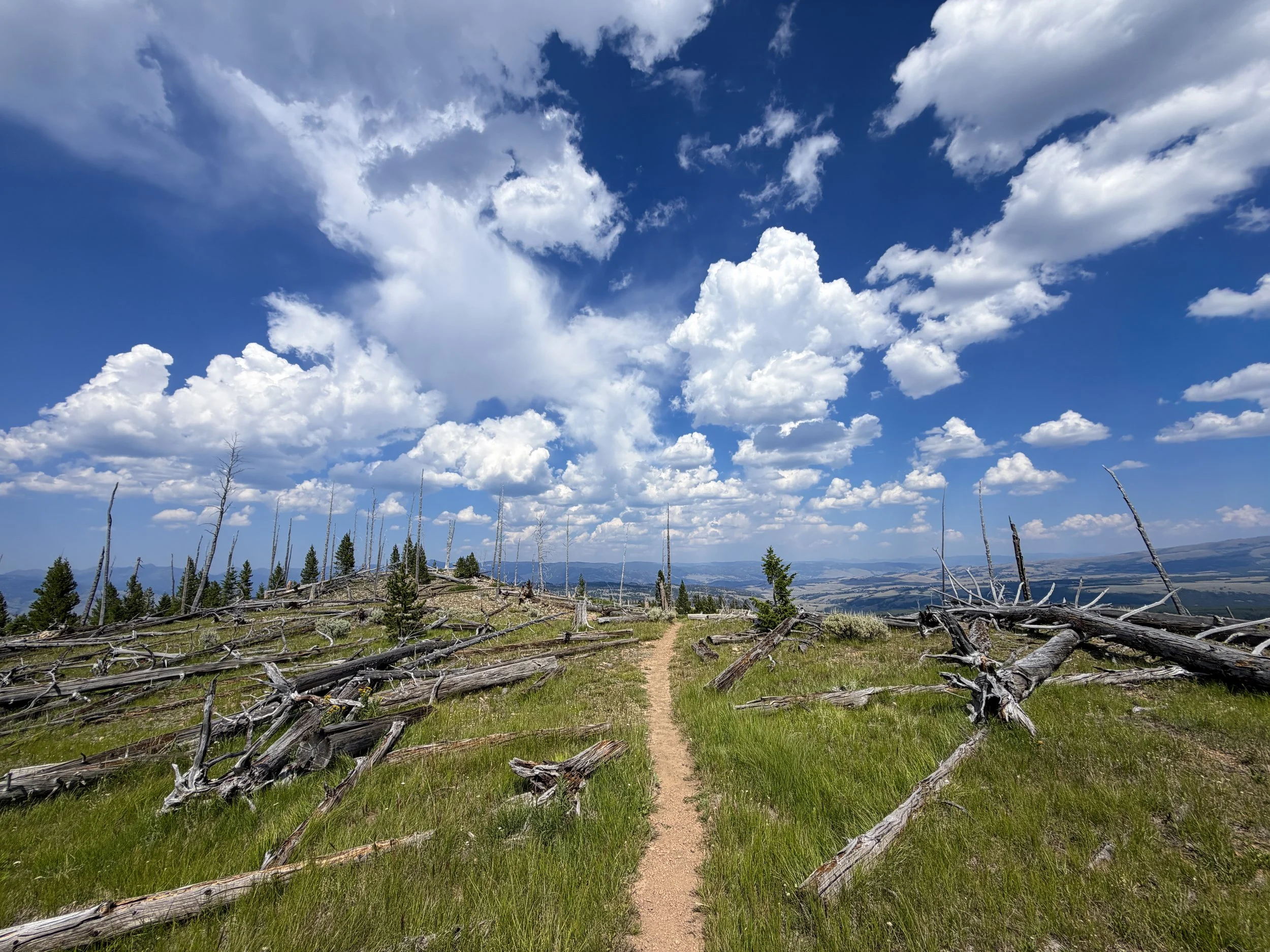 Bunsen Peak Trail to Osprey Falls Yellowstone National Park Wyoming