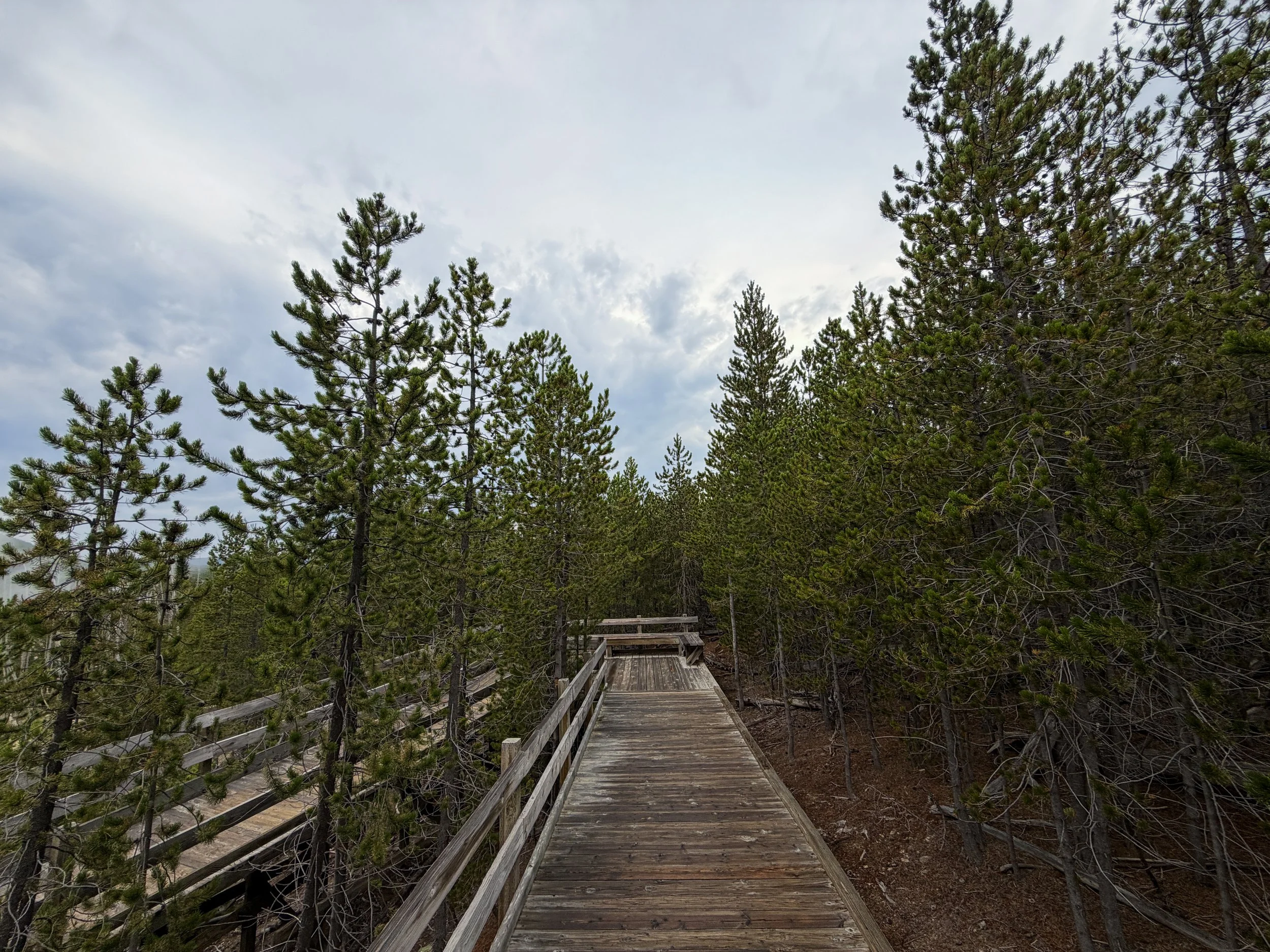 Back Basin Trail Norris Geyser Basin Yellowstone National Park Wyoming