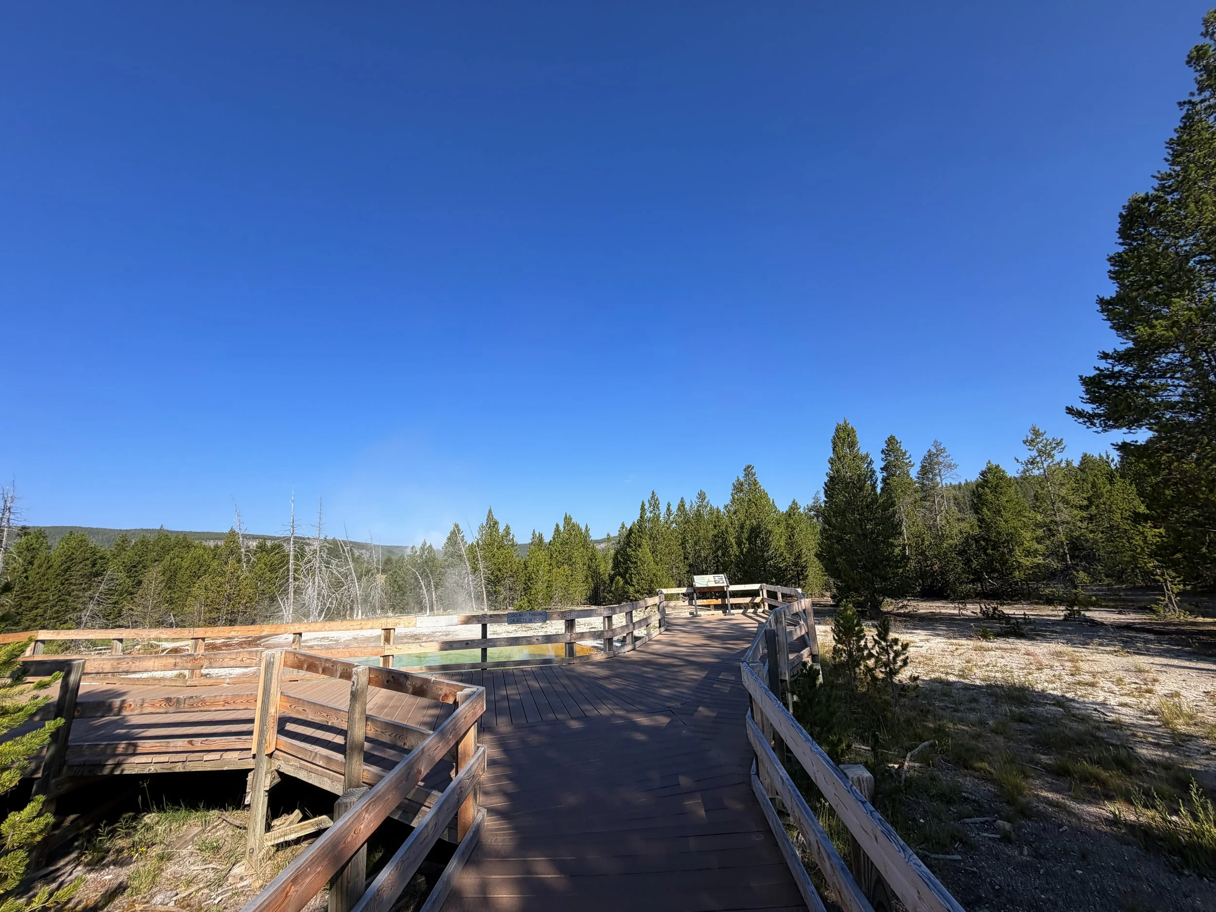 Morning Glory Pool Yellowstone National Park Wyoming