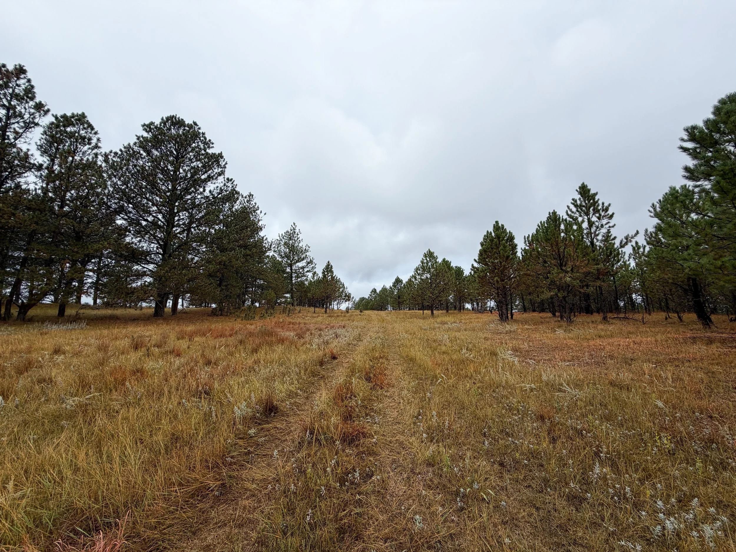 Highland Creek to Wind Cave Canyon Trail Wind Cave National Park South Dakota