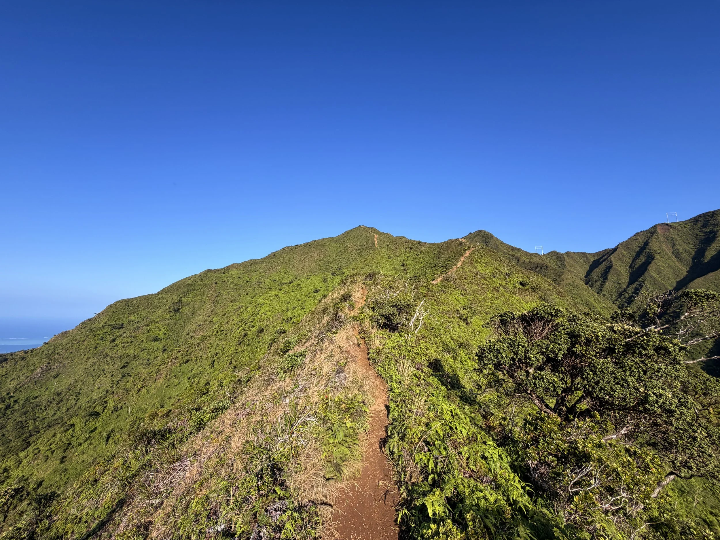 Moanalua Middle Ridge Trail to Stairway to Heaven Oahu Hawaii