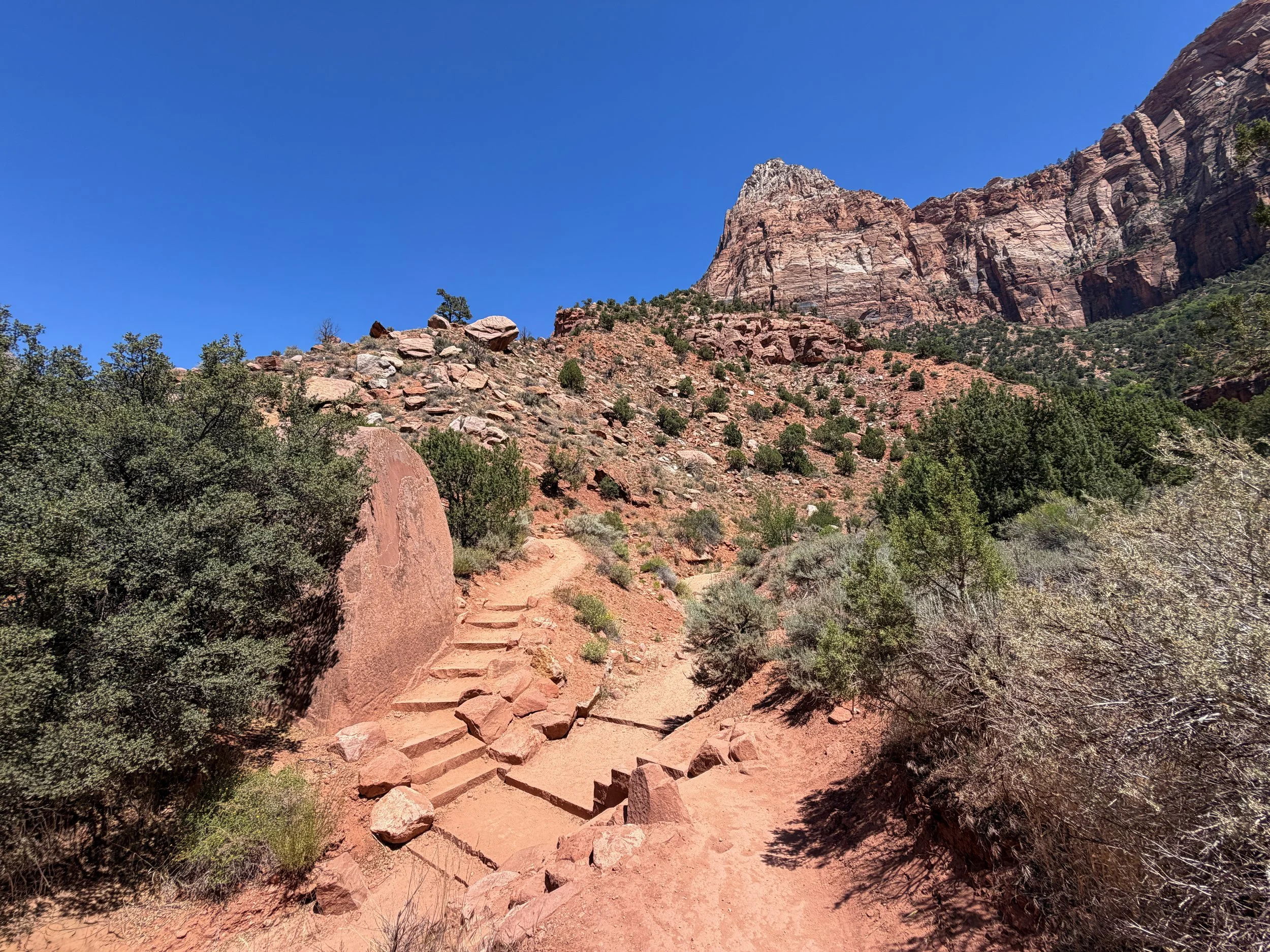 Watchman Hike Zion National Park Utah
