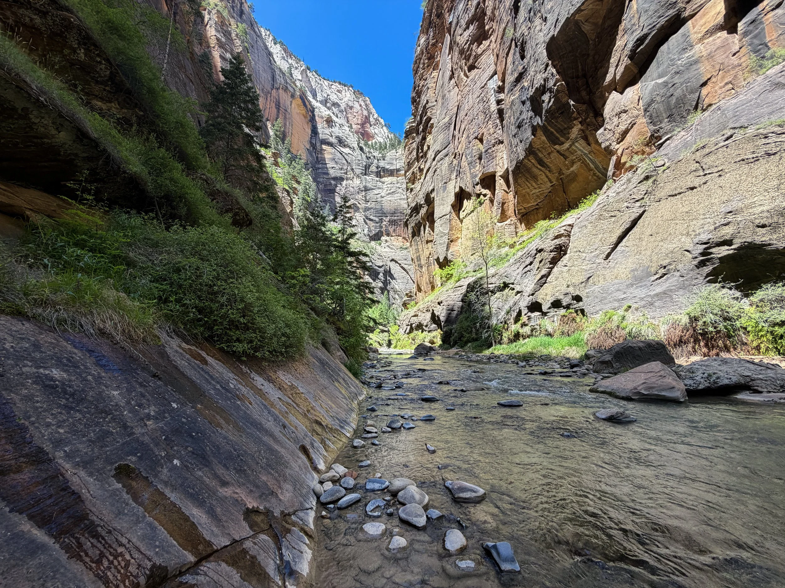 The Narrows Hike Zion National Park Utah