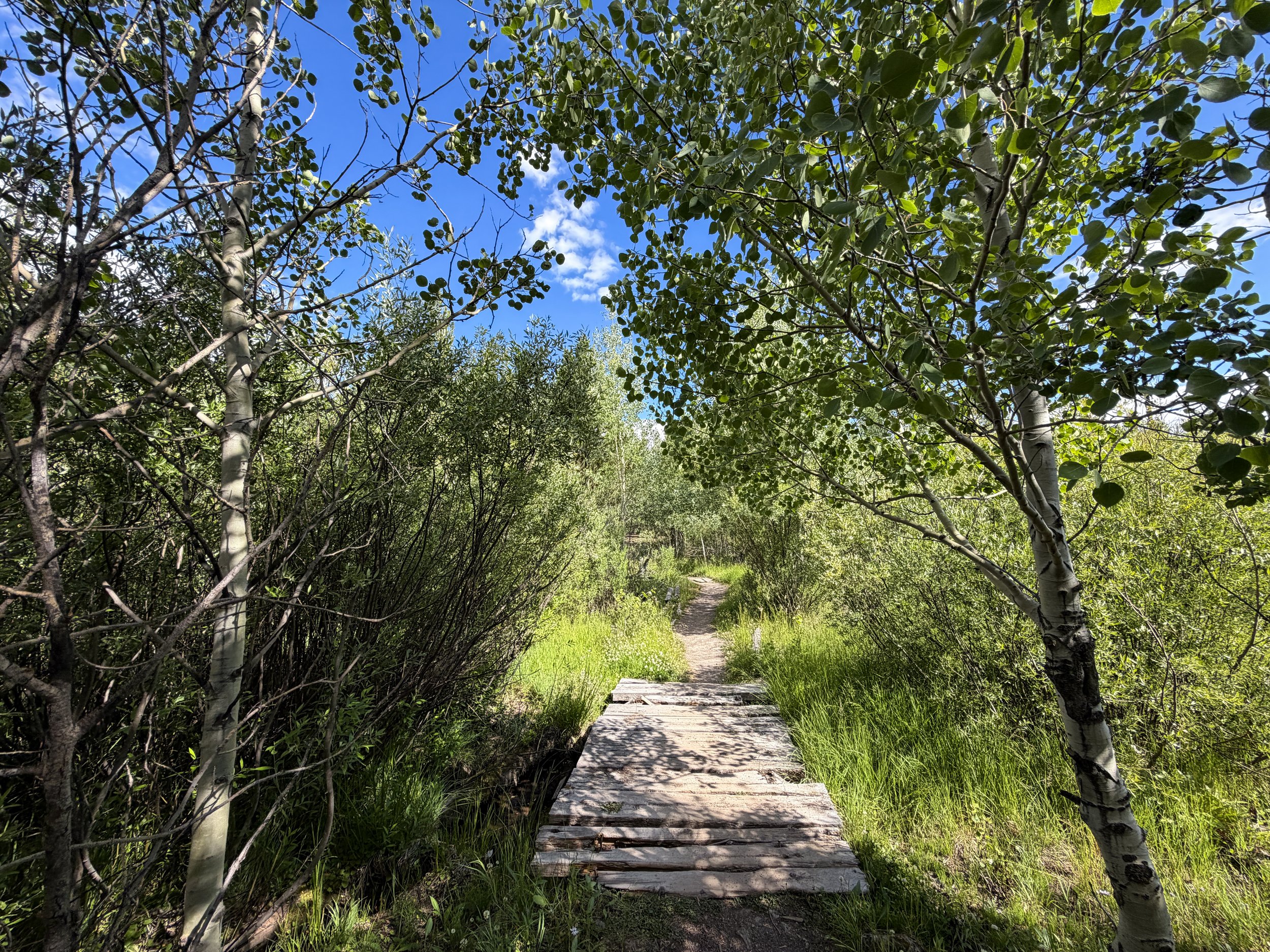 Fairy Falls Trail to Imperial Geyser Yellowstone National Park Wyoming