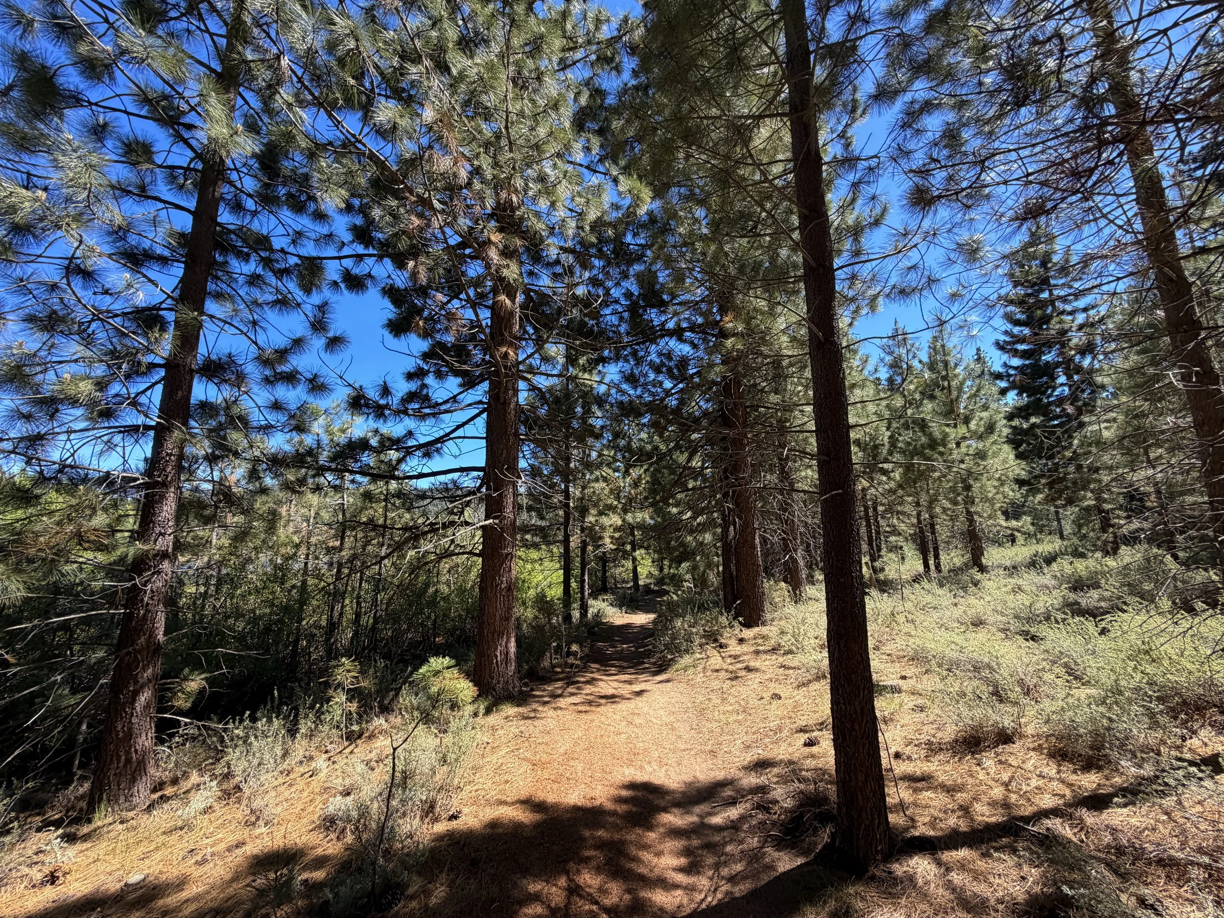 Spooner Lake Loop Trail Lake Tahoe Nevada