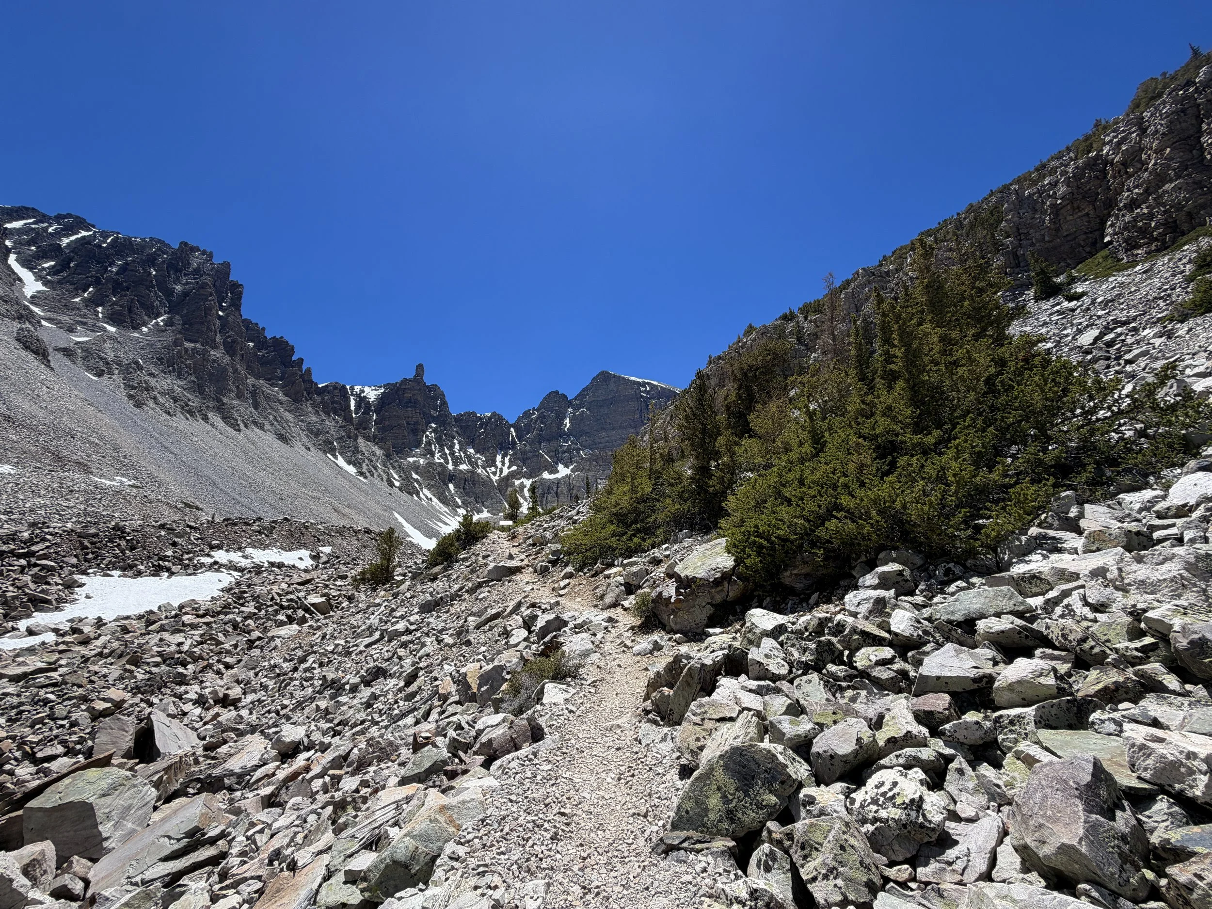 Glacier Trail Great Basin National Park Nevada