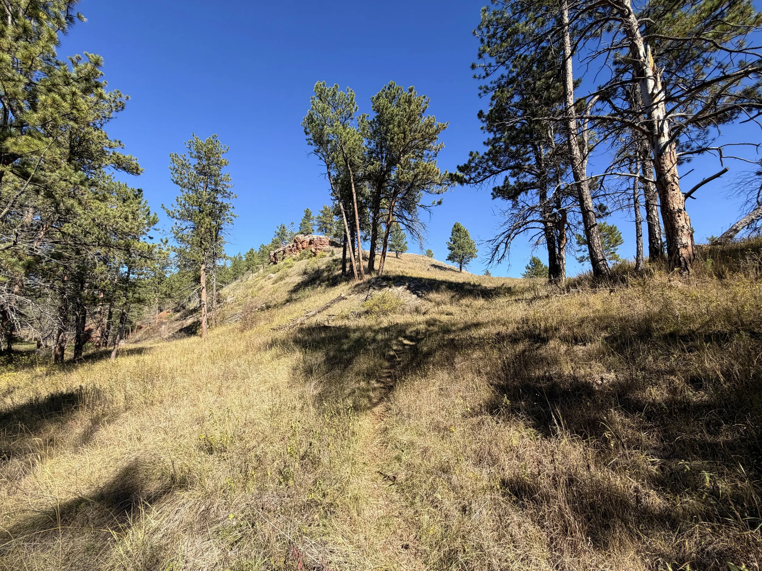 East Bison Flats Trail Wind Cave National Park South Dakota