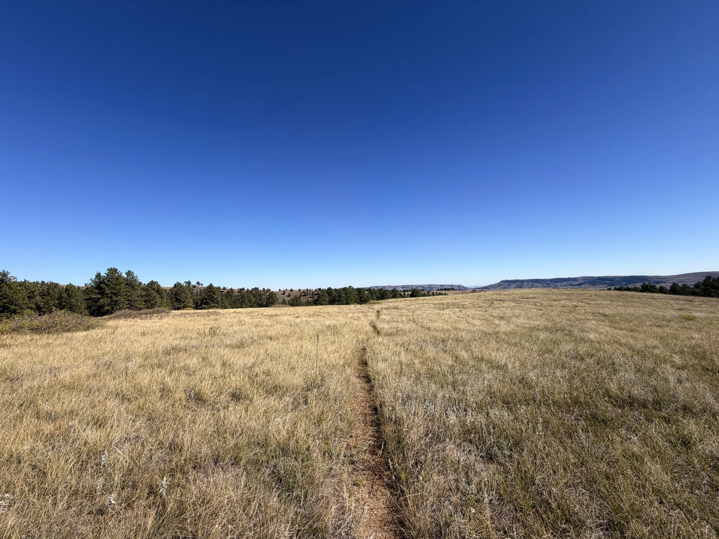 East Bison Flats Trail Wind Cave National Park South Dakota