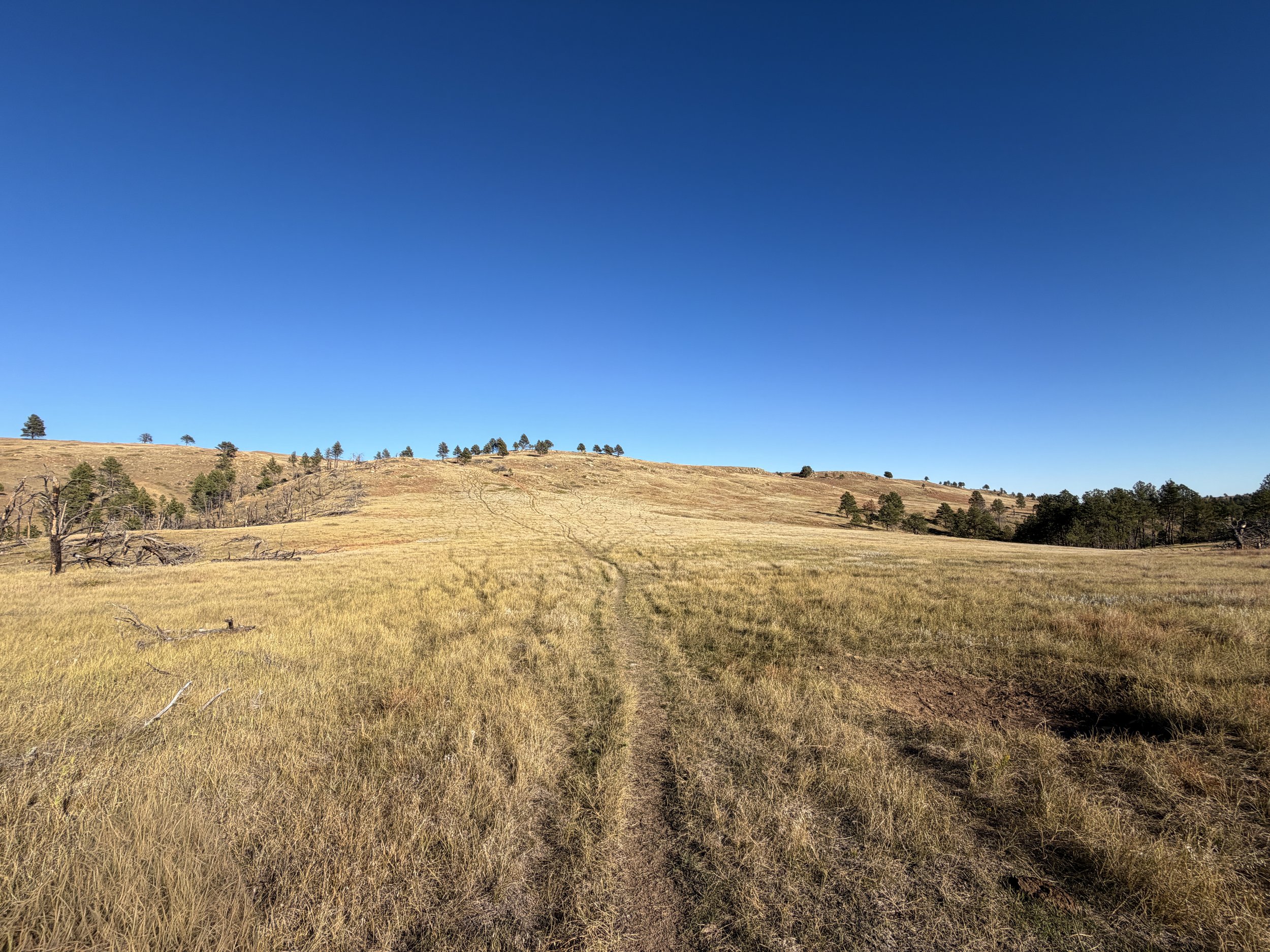 Boland Ridge Hike Wind Cave National Park South Dakota