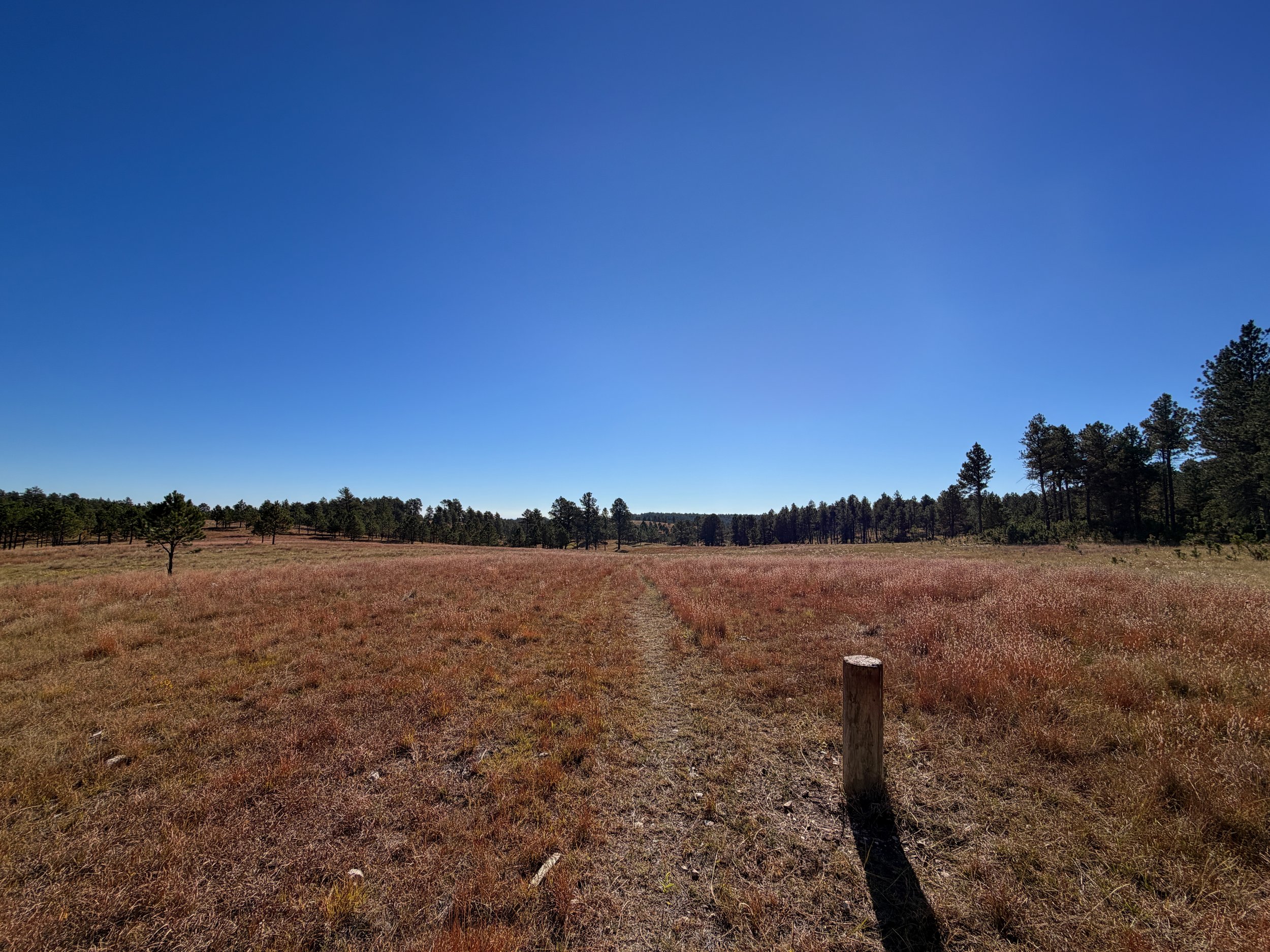 Sanctuary Hike Wind Cave National Park South Dakota