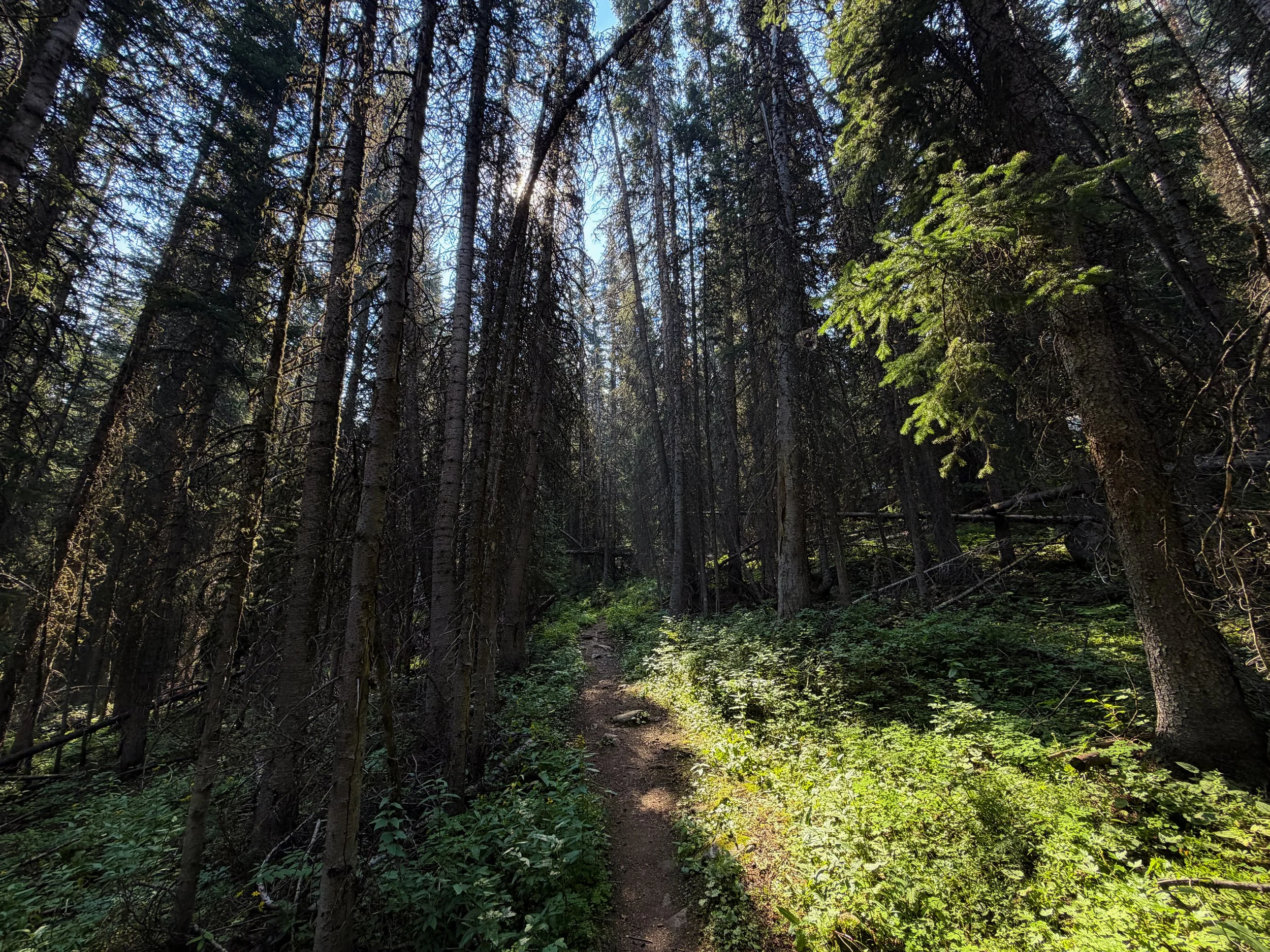 East Rosebud Trail The Beaten Path Beartooth Mountains Montana