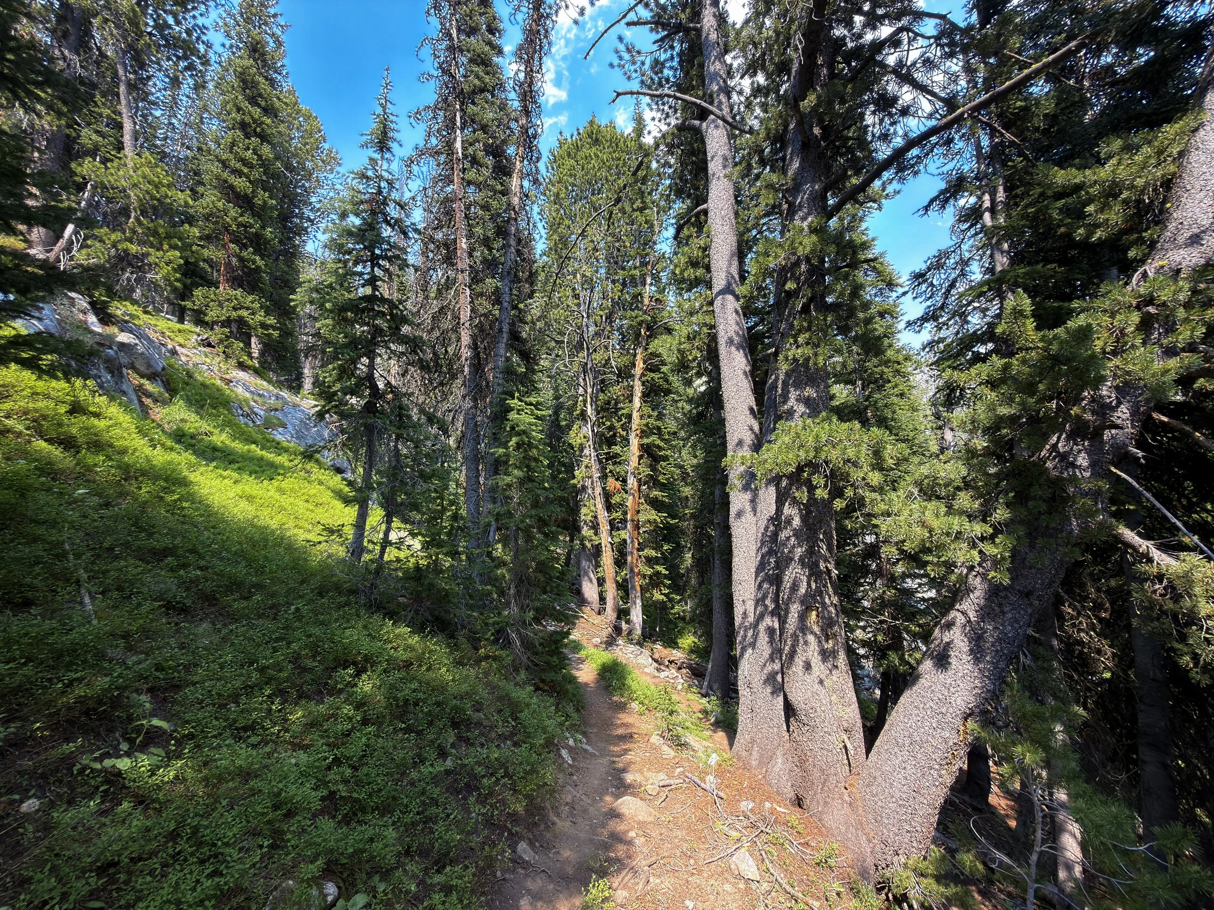 Russell Creek Trail The Beaten Path Beartooth Mountains Montana