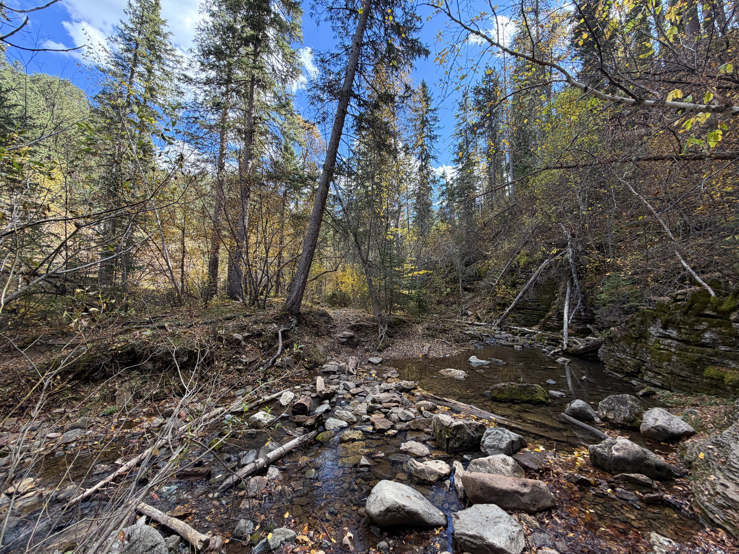 Devils Bathtub Hike Spearfish Canyon Black Hills South Dakota