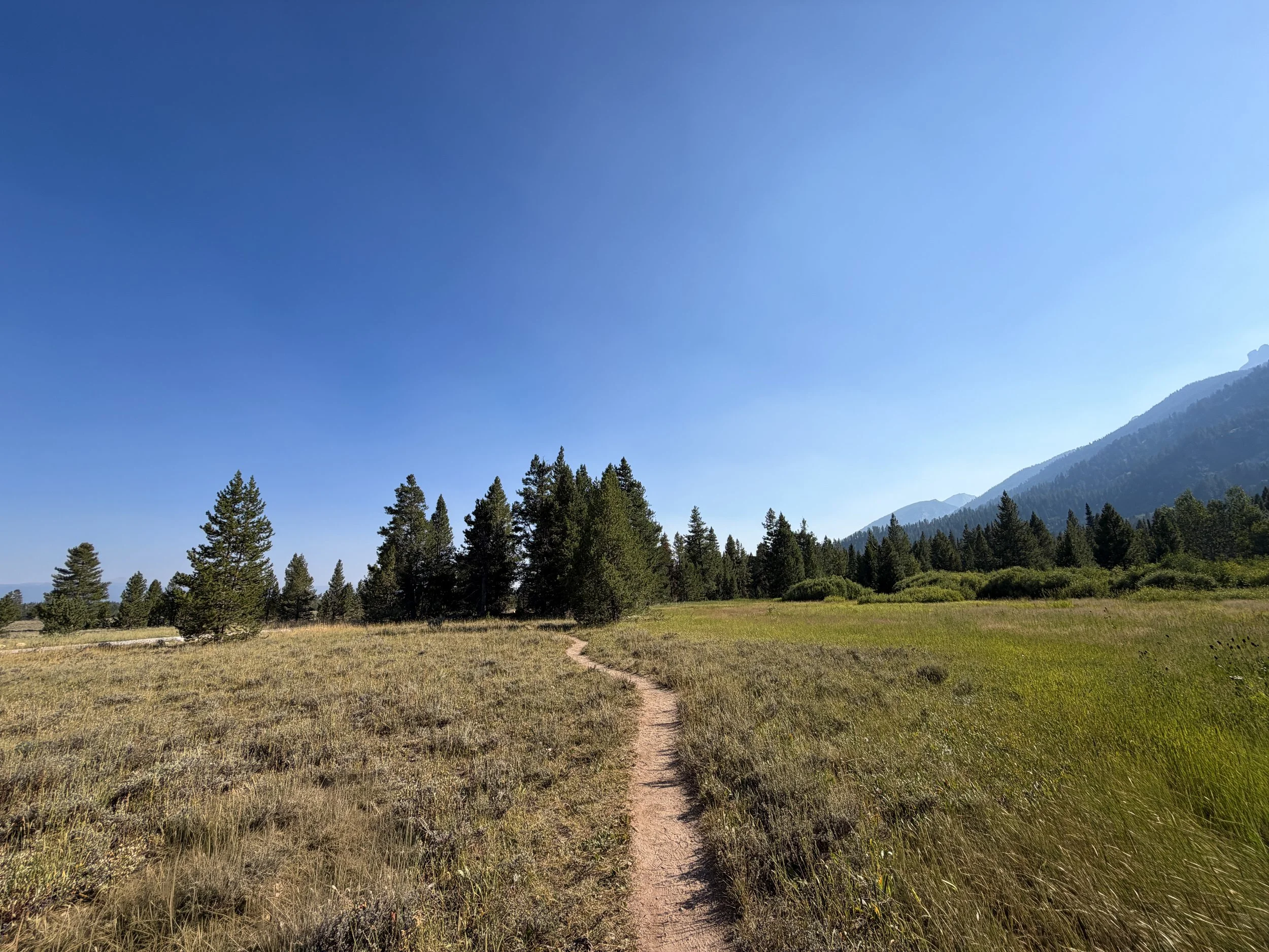 Moose Ponds Loop Trail Grand Teton National Park Wyoming