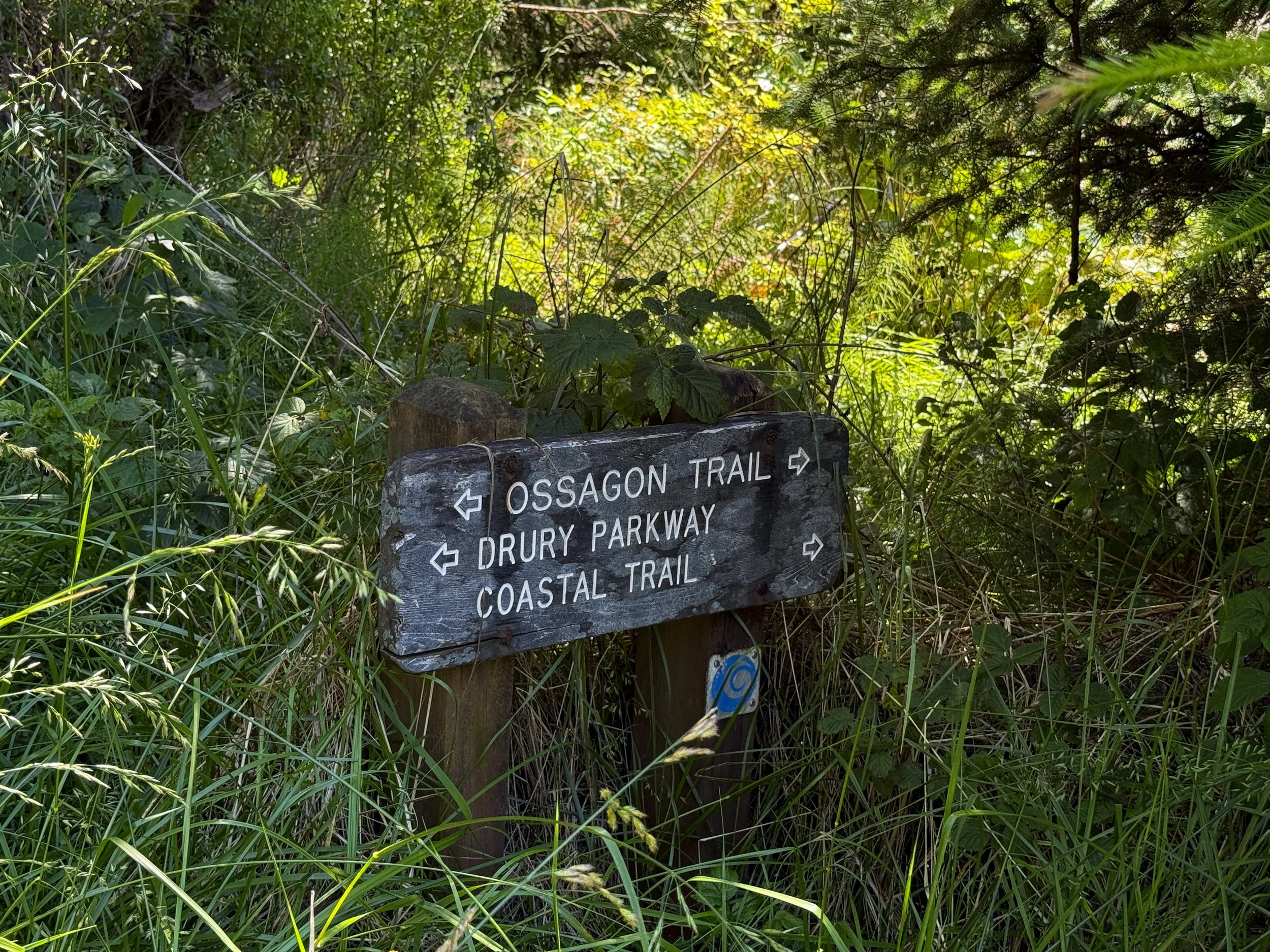 Ossagon Trail Prairie Creek Redwoods State Park California
