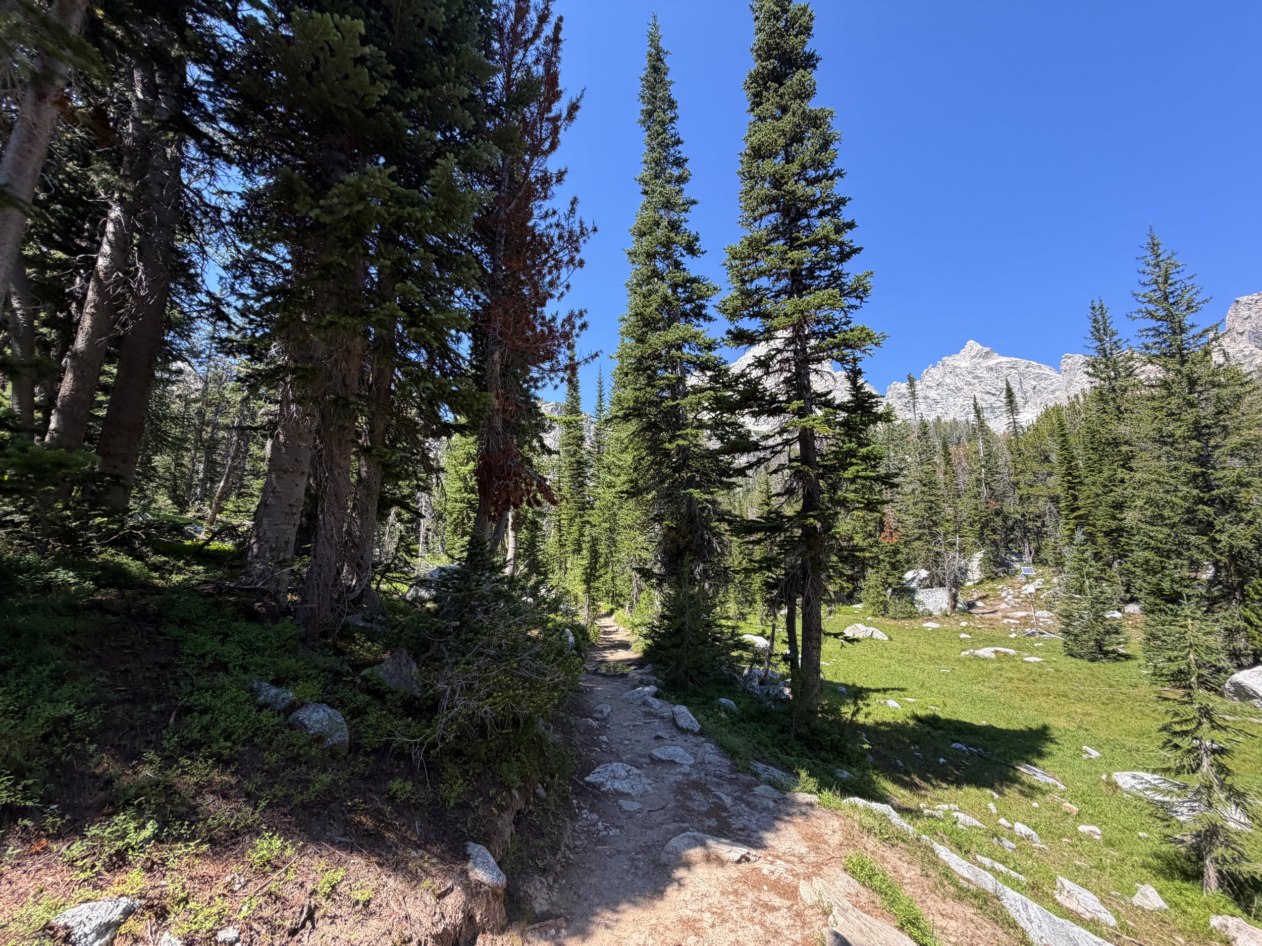Surprise and Amphitheater Lakes Hike Grand Teton National Park Wyoming