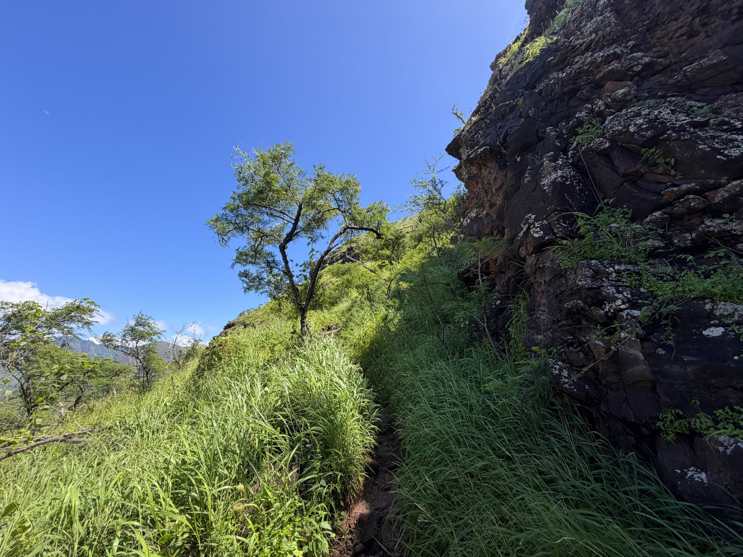 Puu O Hulu Hike Oahu Hawaii