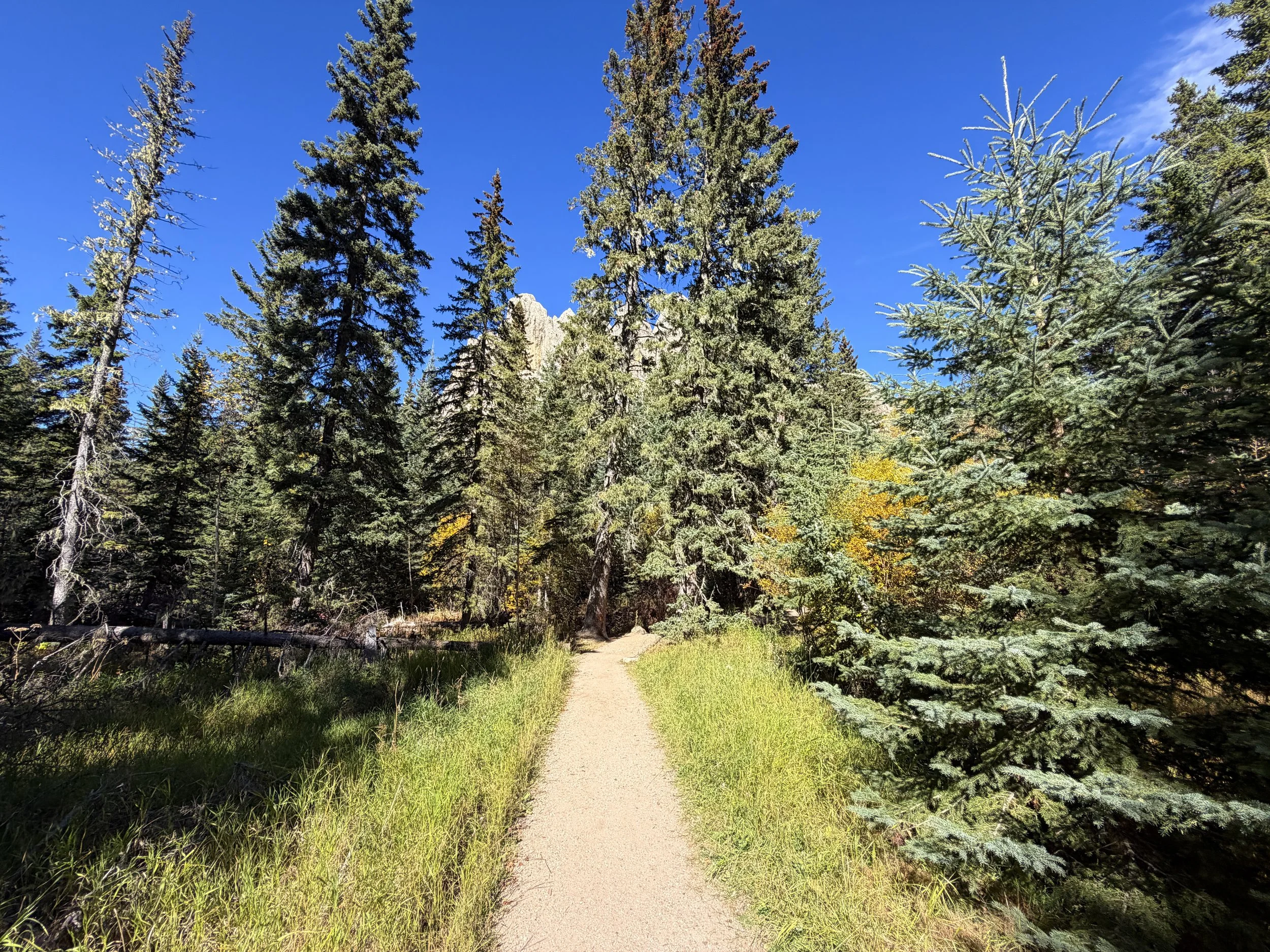 Black Elk Peak Trail Black Hills South Dakota