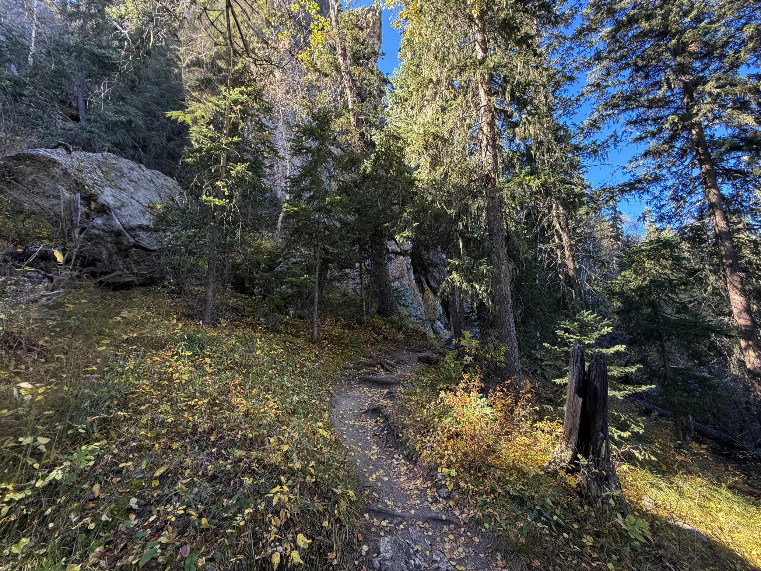 Sunday Gulch Trail Custer State Park Black Hills South Dakota