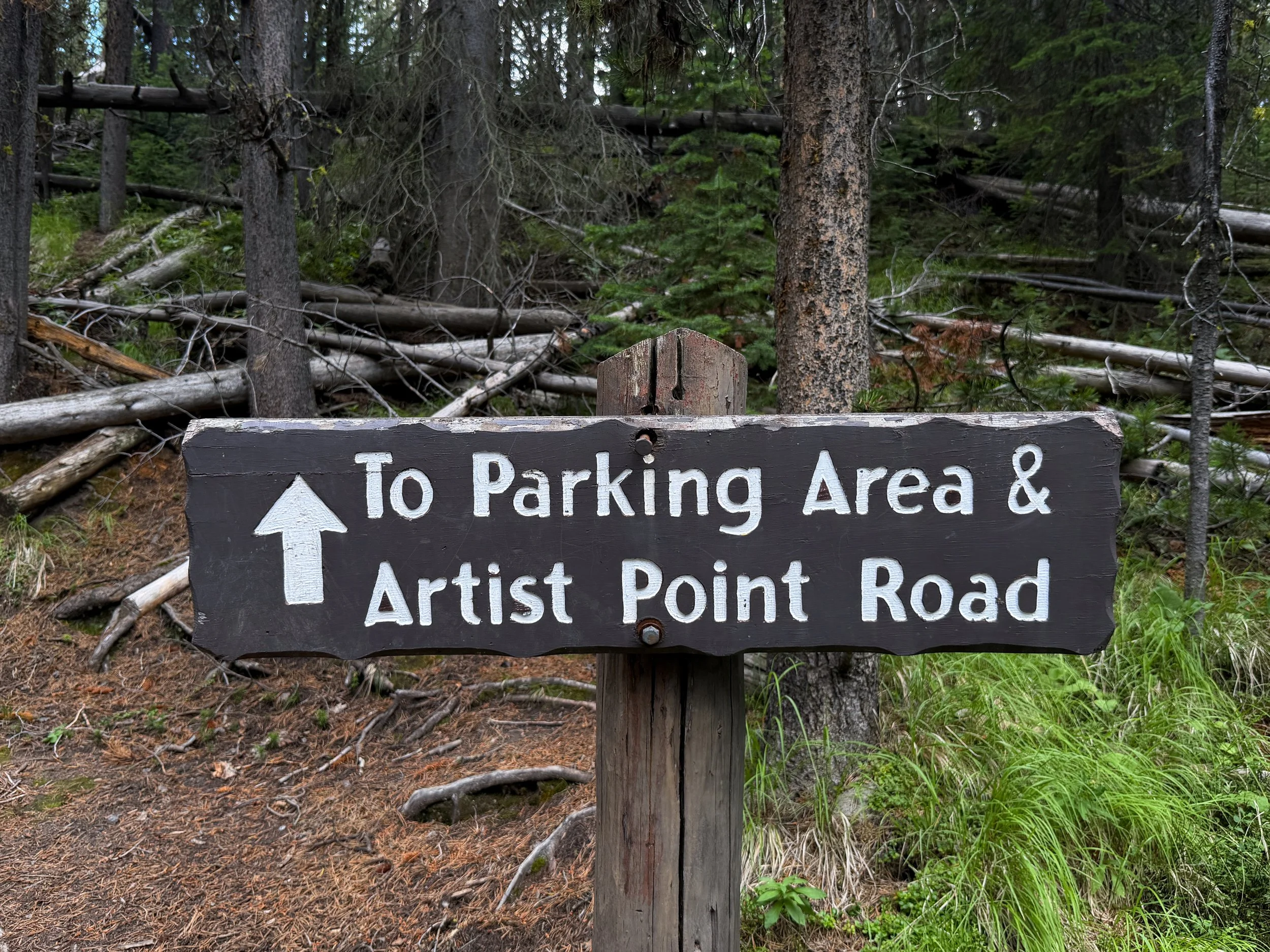 South Rim Trail Yellowstone National Park Wyoming