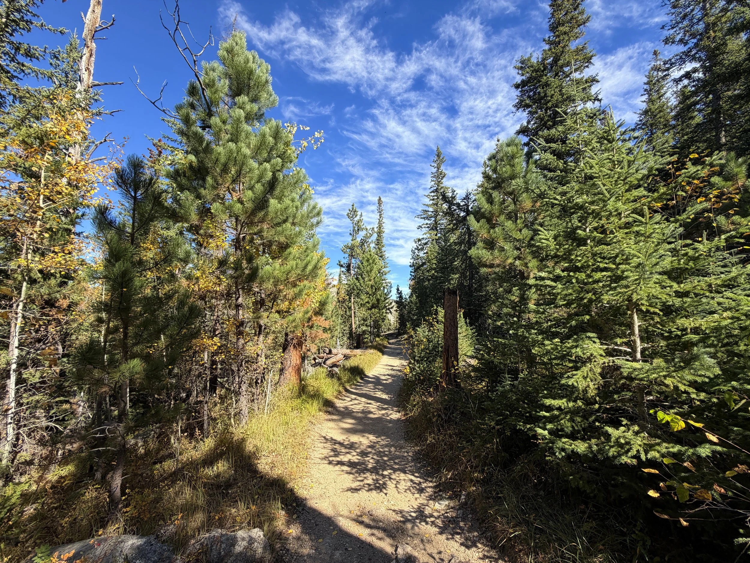 Black Elk Peak Hike Custer State Park Black Hills South Dakota