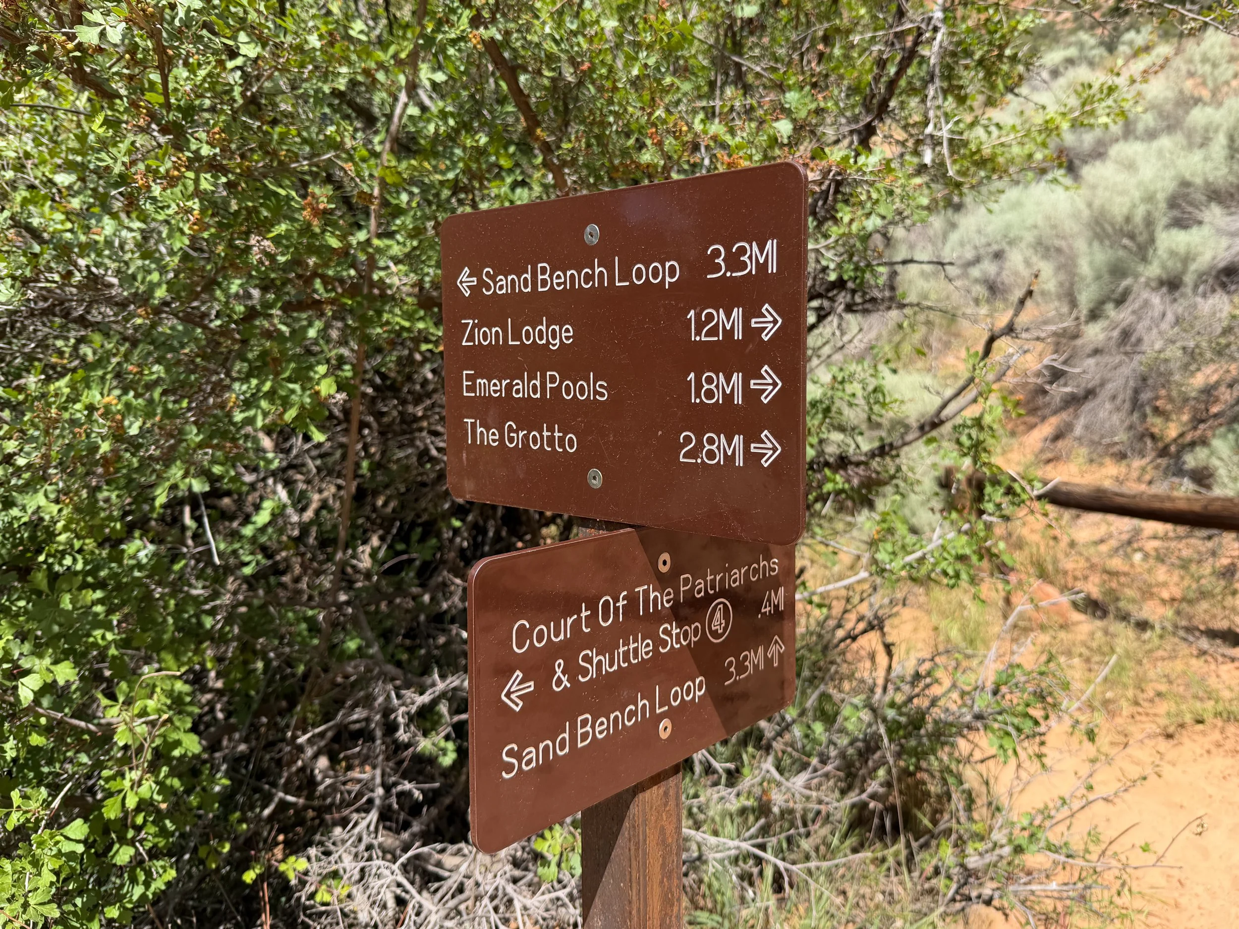 Sand Bench Trail Zion National Park Utah