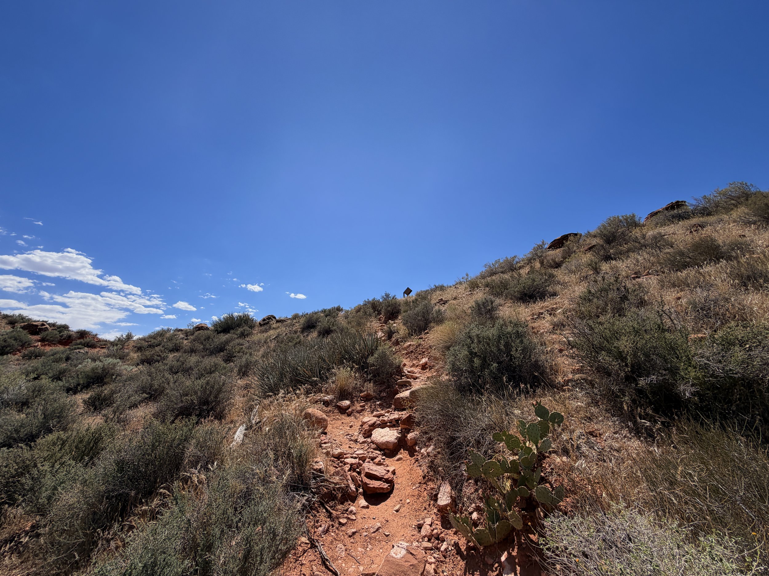 Archaeology Trail Zion National Park Utah