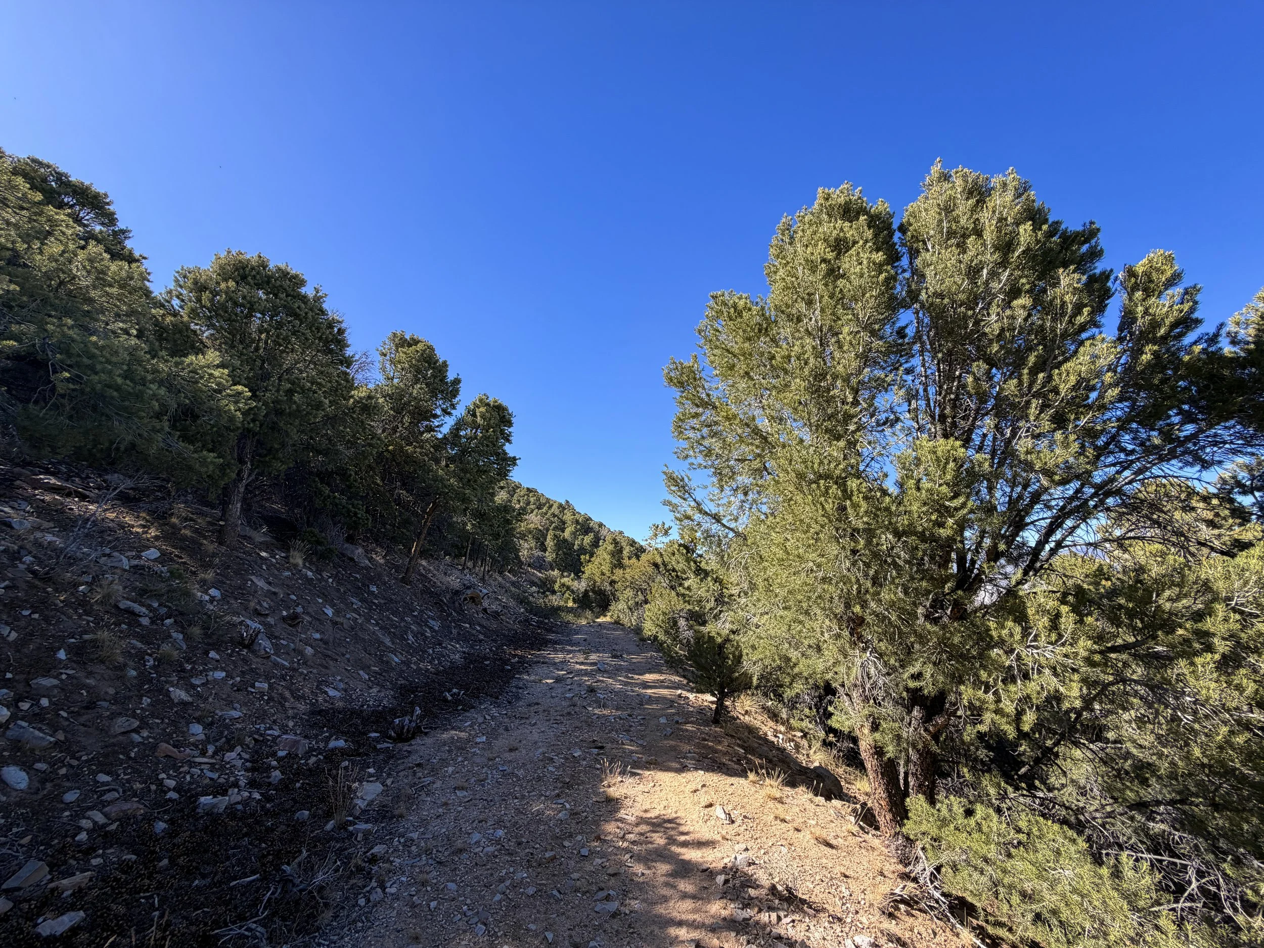 Osceola Ditch Trail Great Basin National Park Nevada