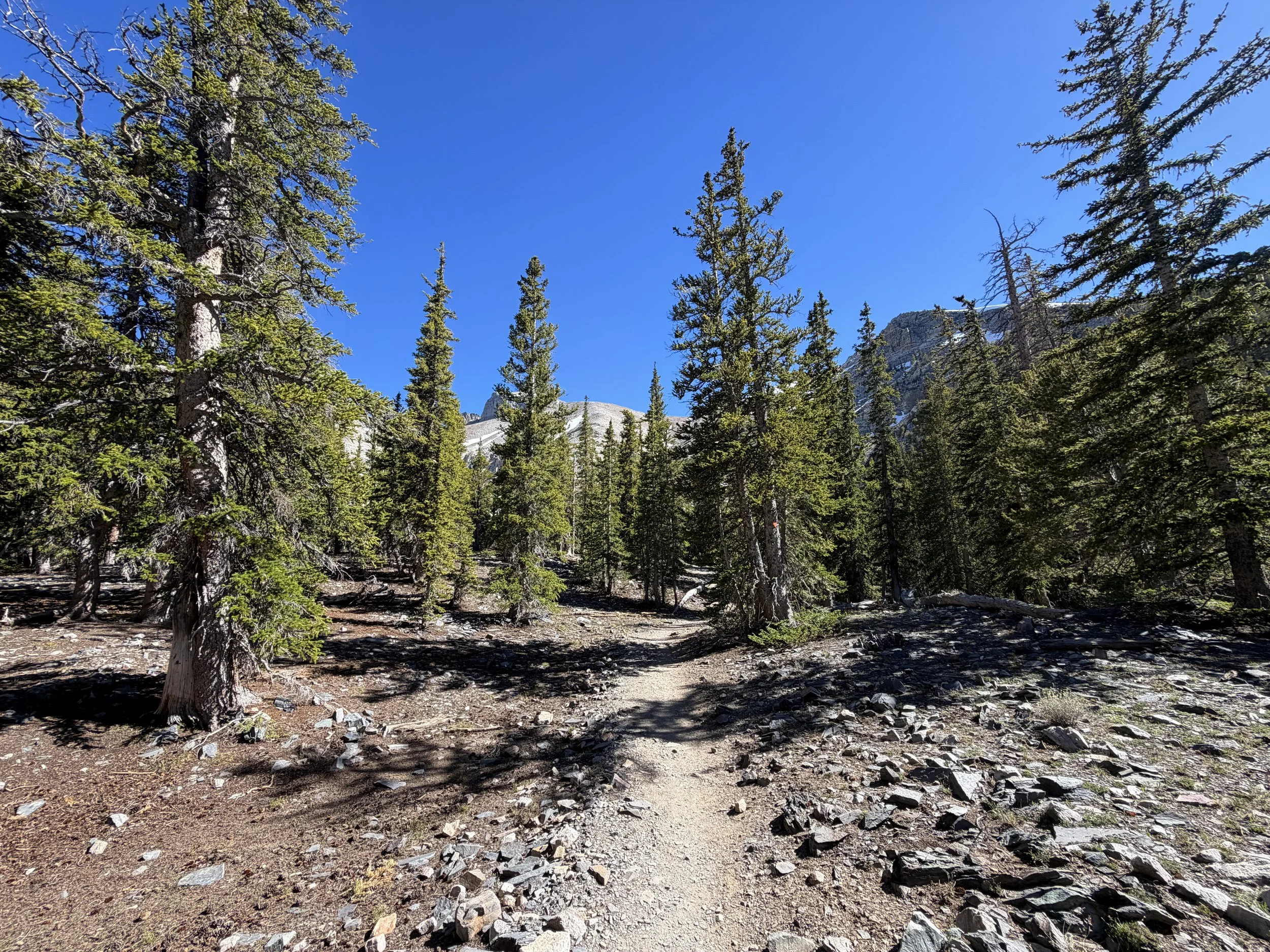 Alpine Lakes Loop Trail Great Basin National Park Nevada