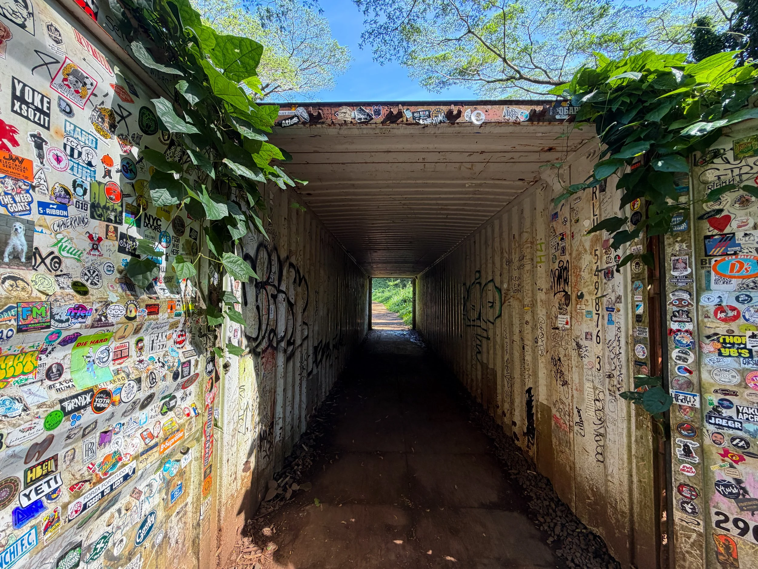 Manoa Falls Trail Oahu Hawaii