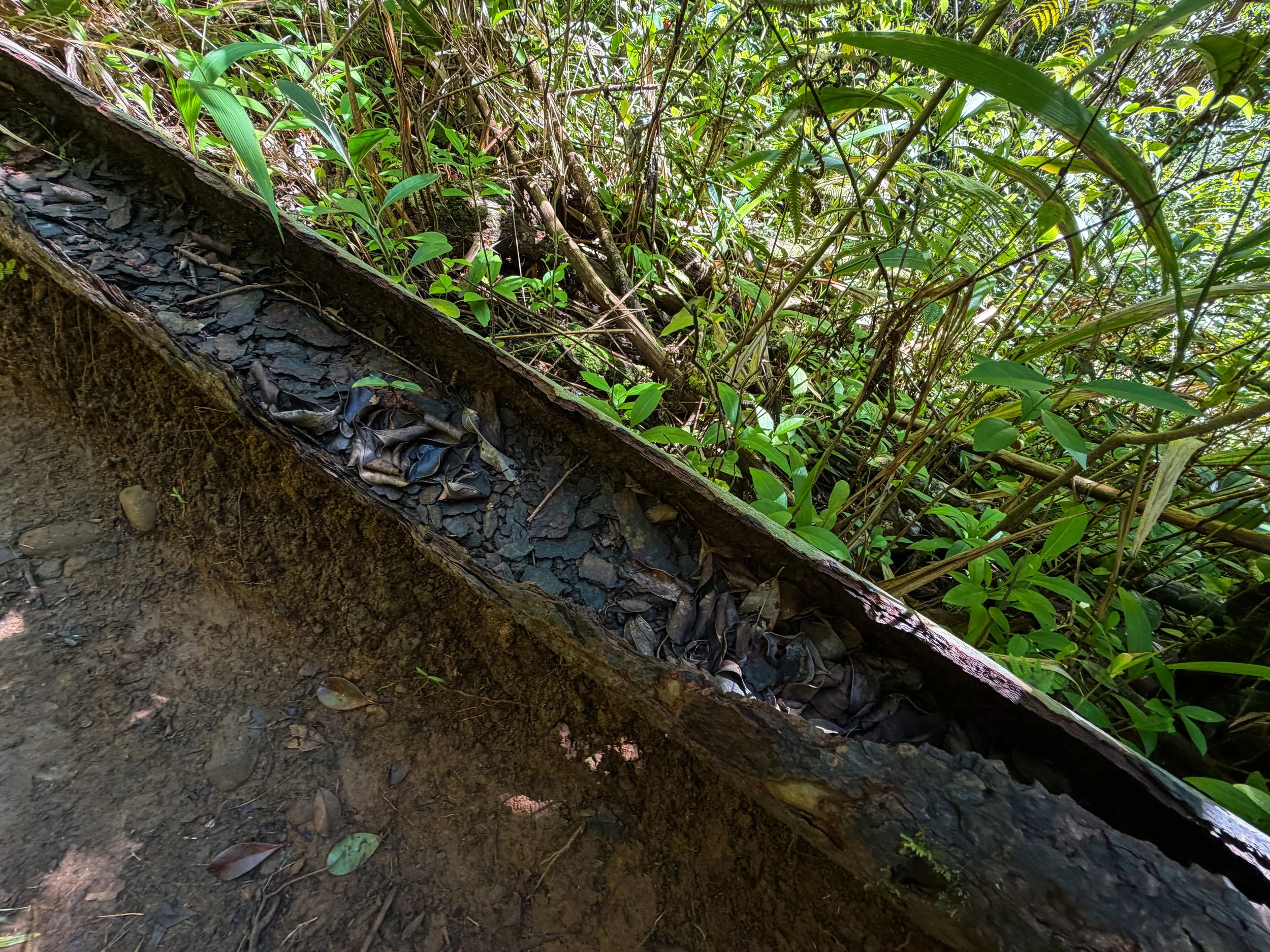 Kaau Crater Hike Oahu Hawaii