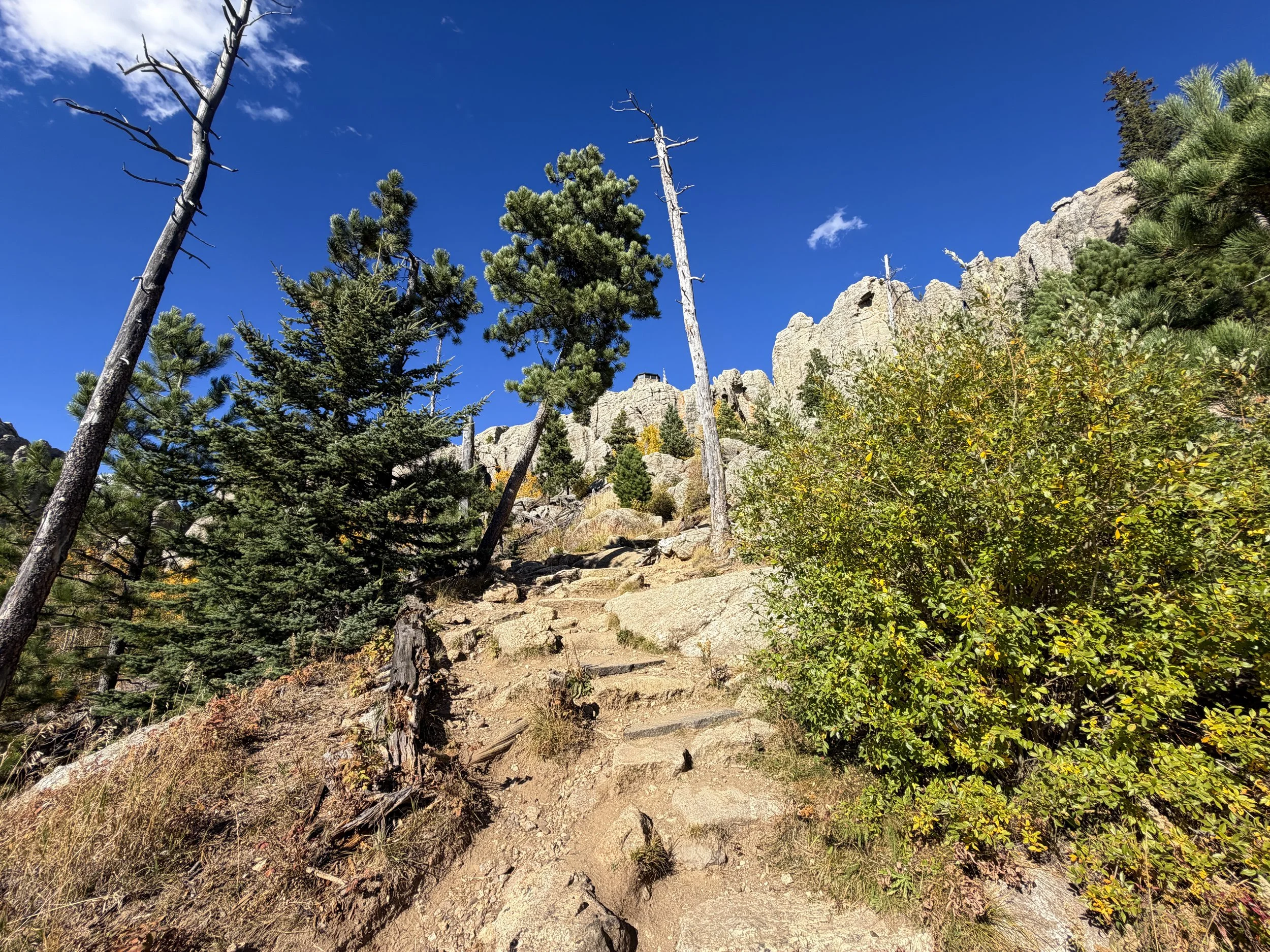 Black Elk Peak Trail Black Hills South Dakota