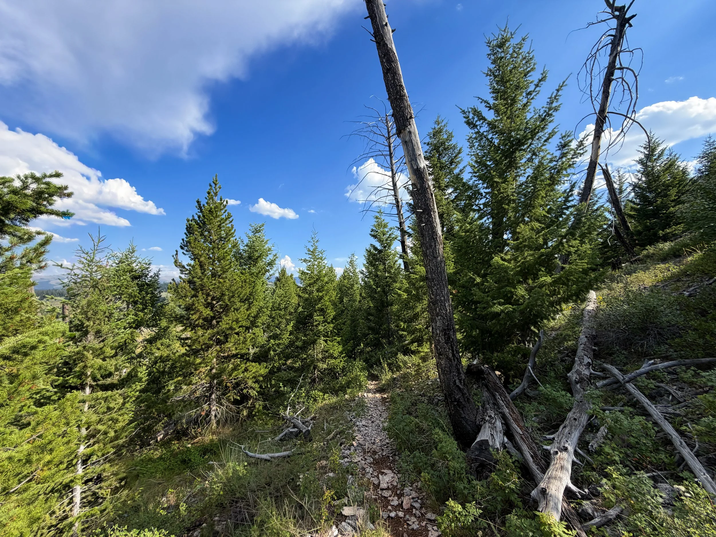 Bunsen Peak Trail Yellowstone National Park Wyoming