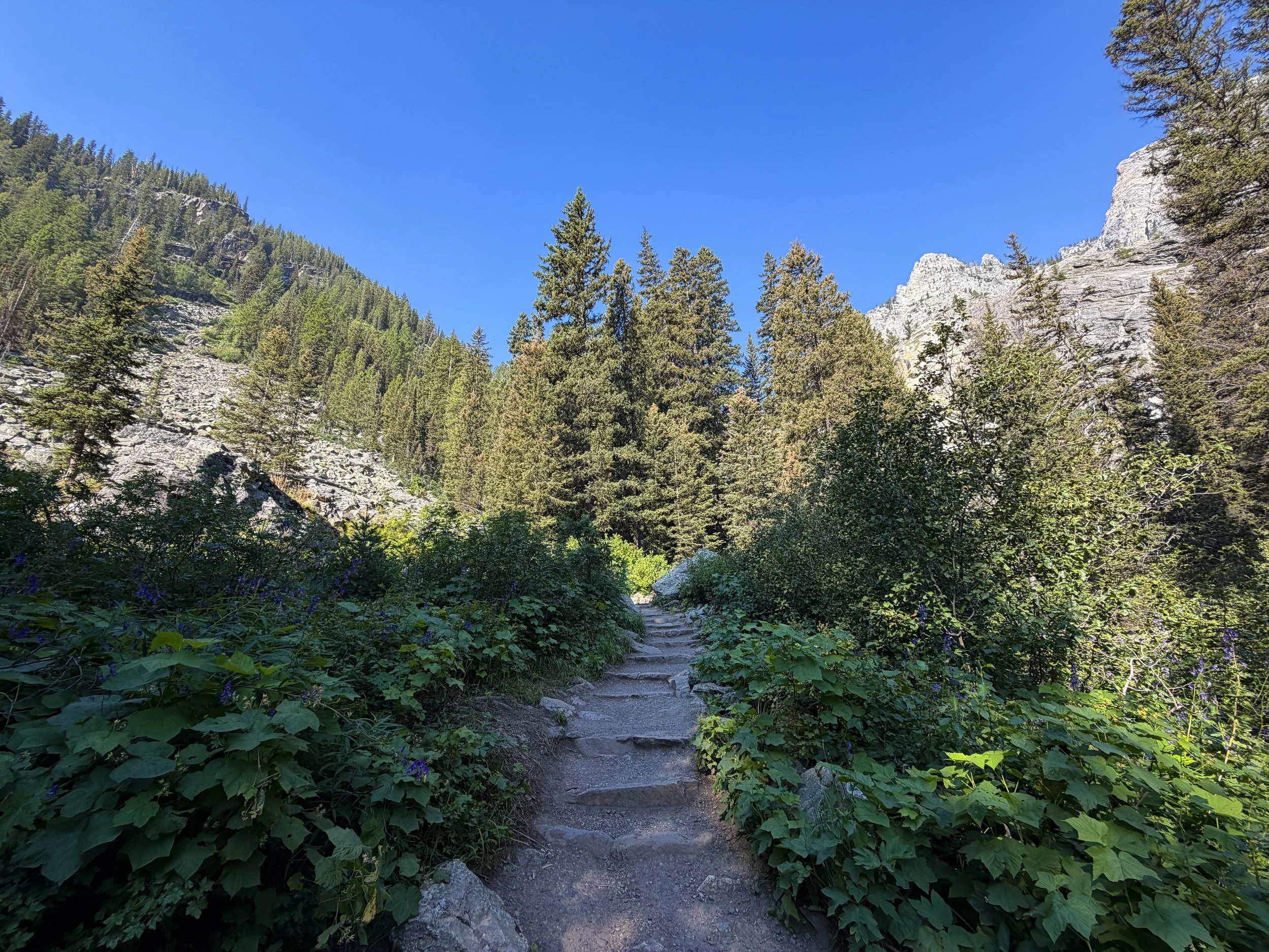 Hidden Falls Trail Grand Teton National Park Wyoming