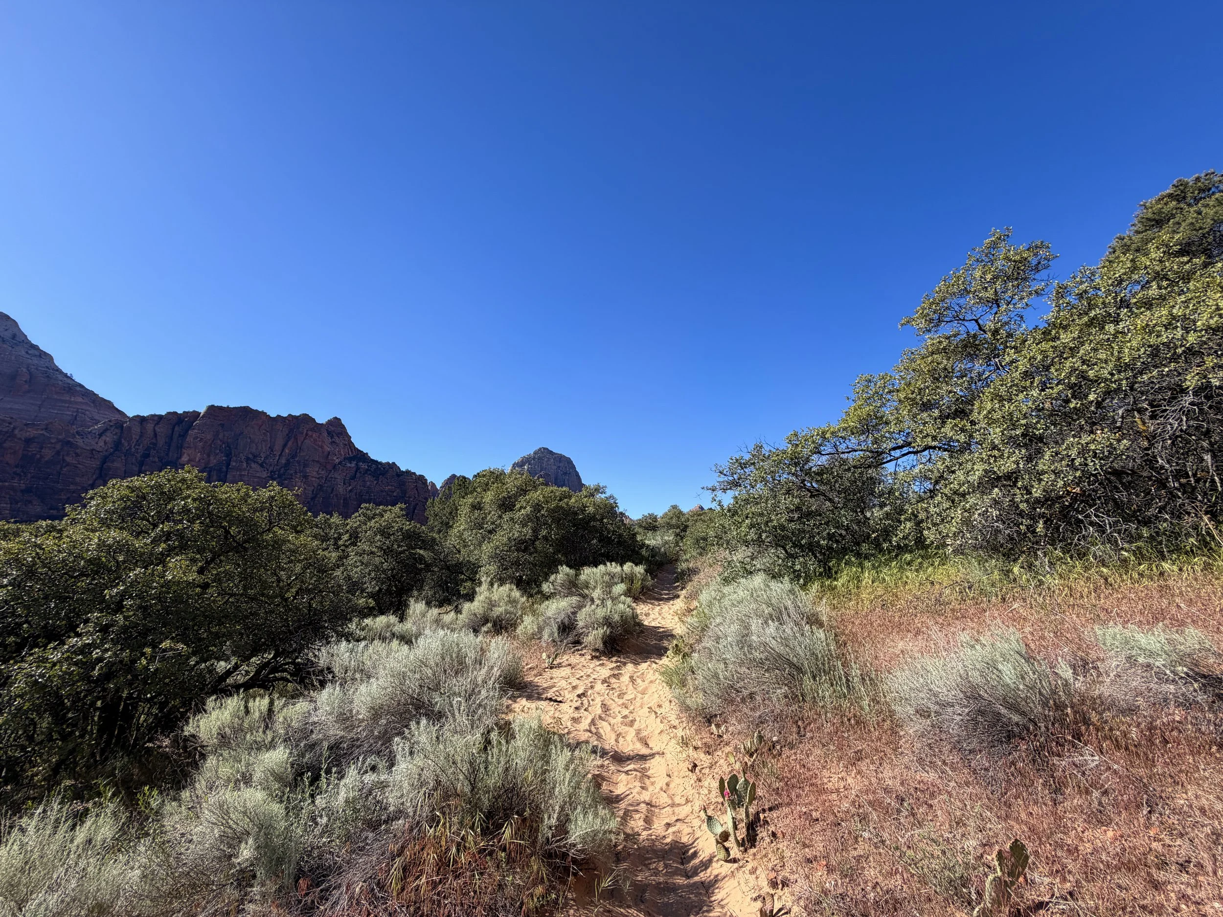 Sand Bench Hike Zion National Park Utah