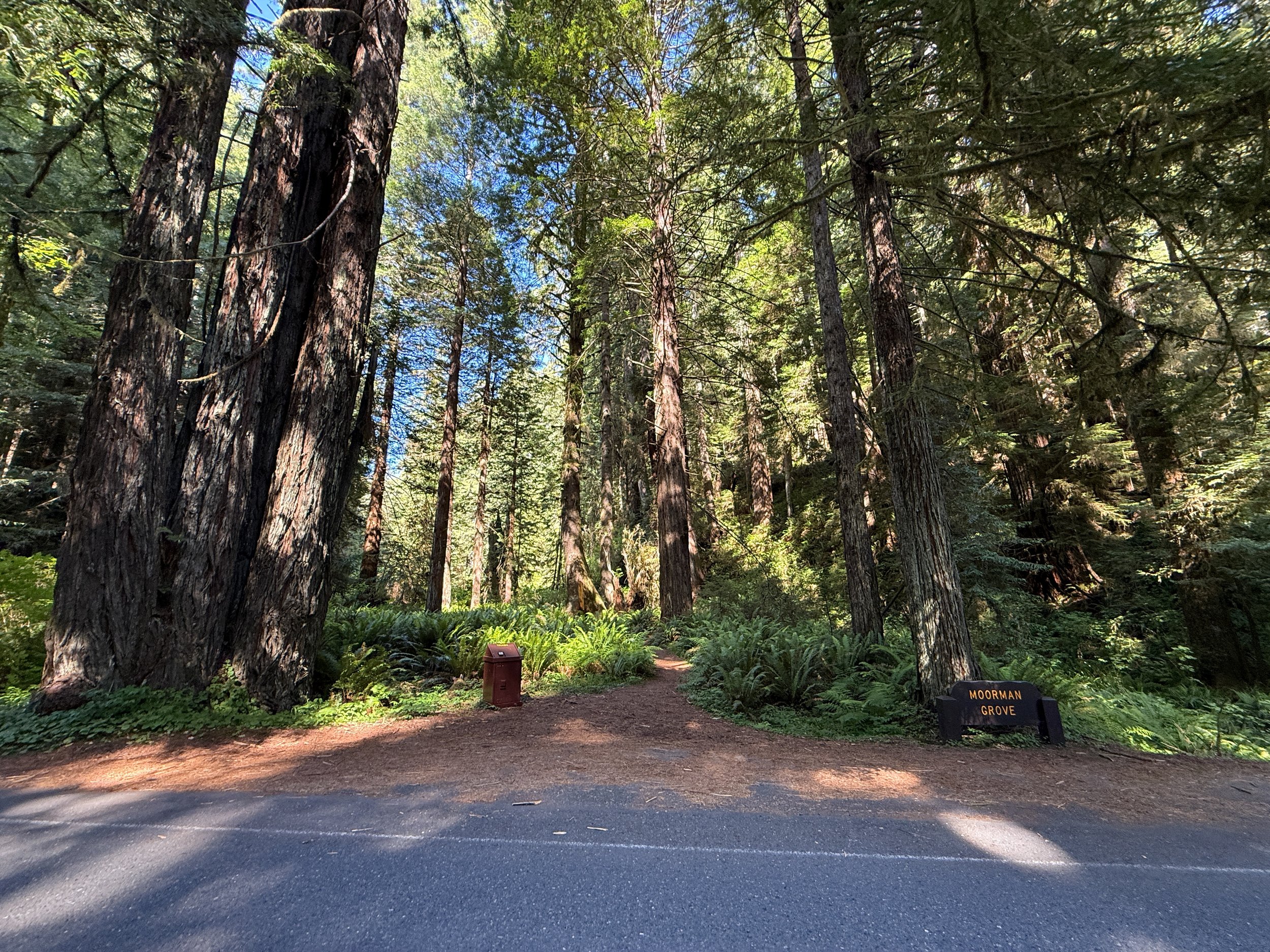 Moorman Pond Trailhead Prairie Creek Redwoods State Park California