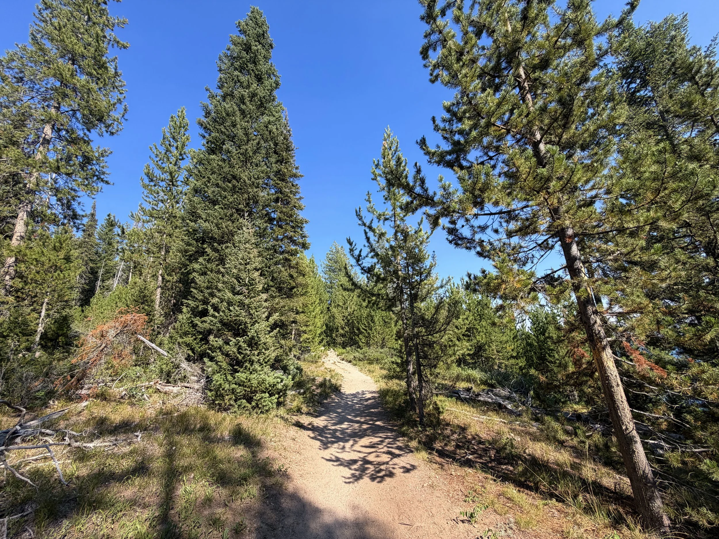 Jenny Lake Trail Grand Teton National Park Wyoming