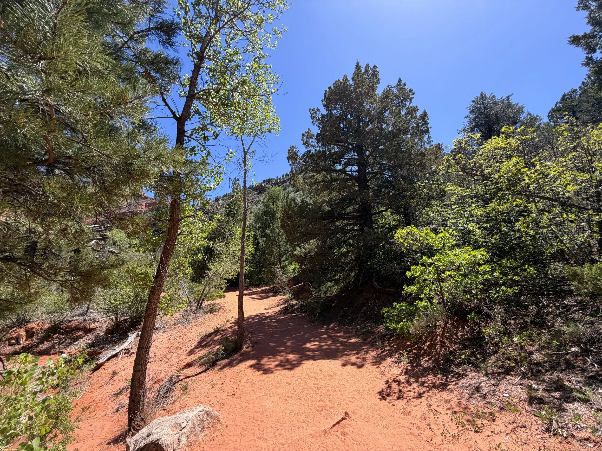 Middle Taylor Creek Hike Zion National Park Utah