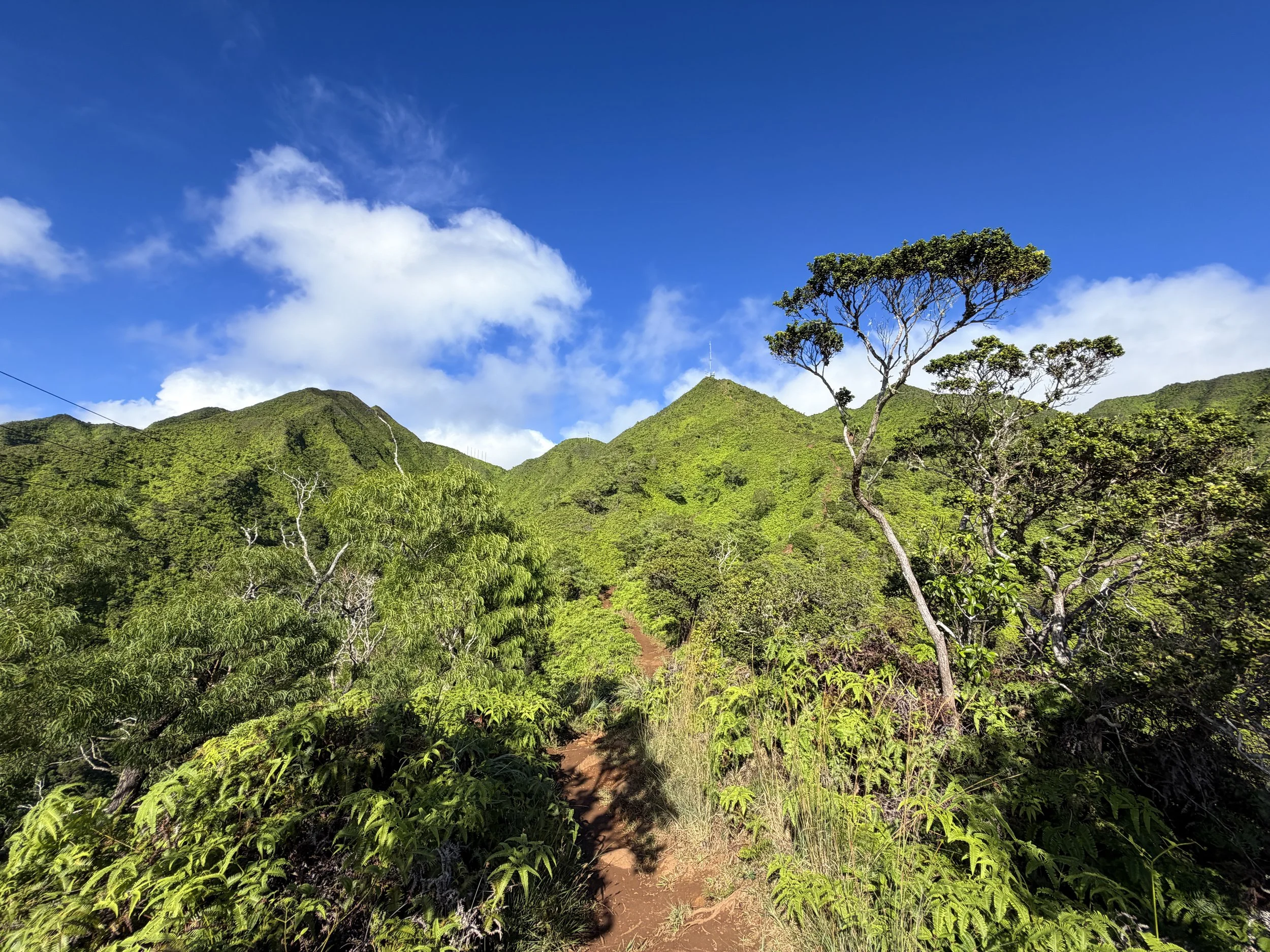 Wiliwilinui Ridge Trail Oahu Hawaii