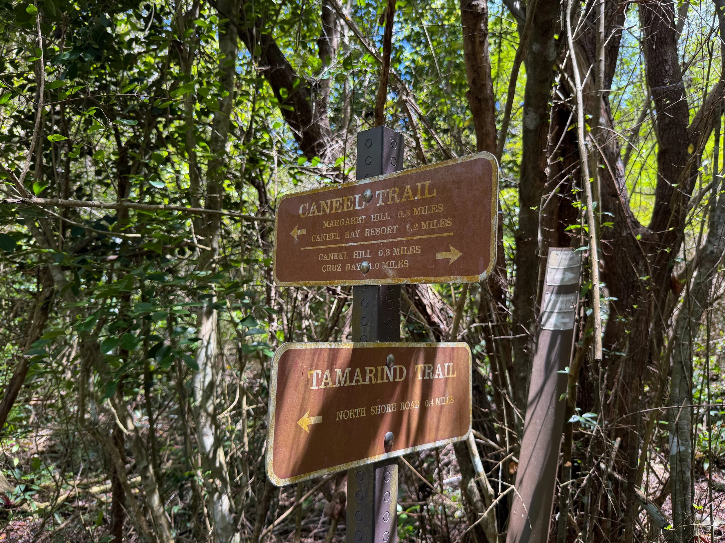 Tamarind Trail Virgin Islands National Park