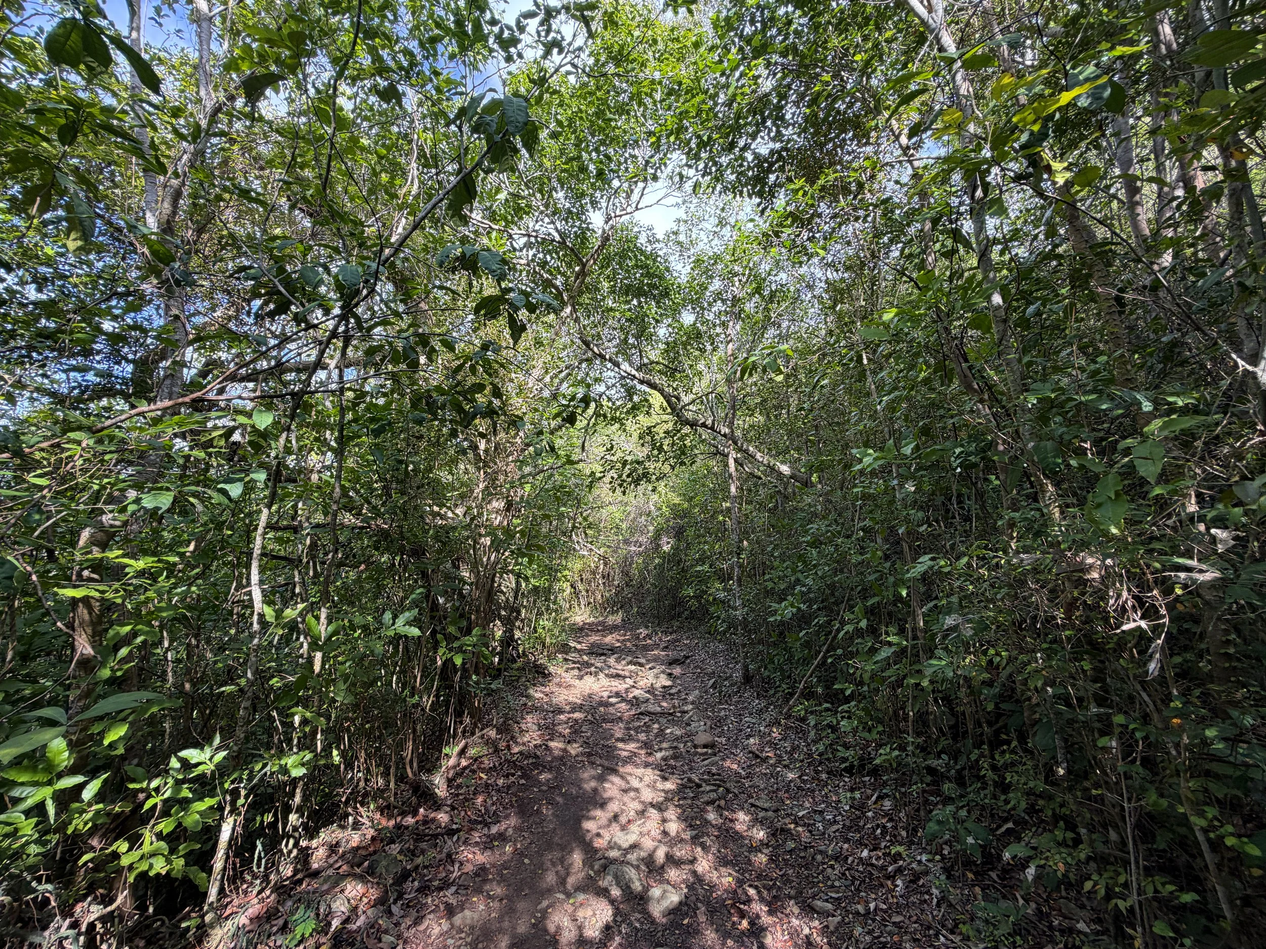 Lind Point Hike Virgin Islands National Park