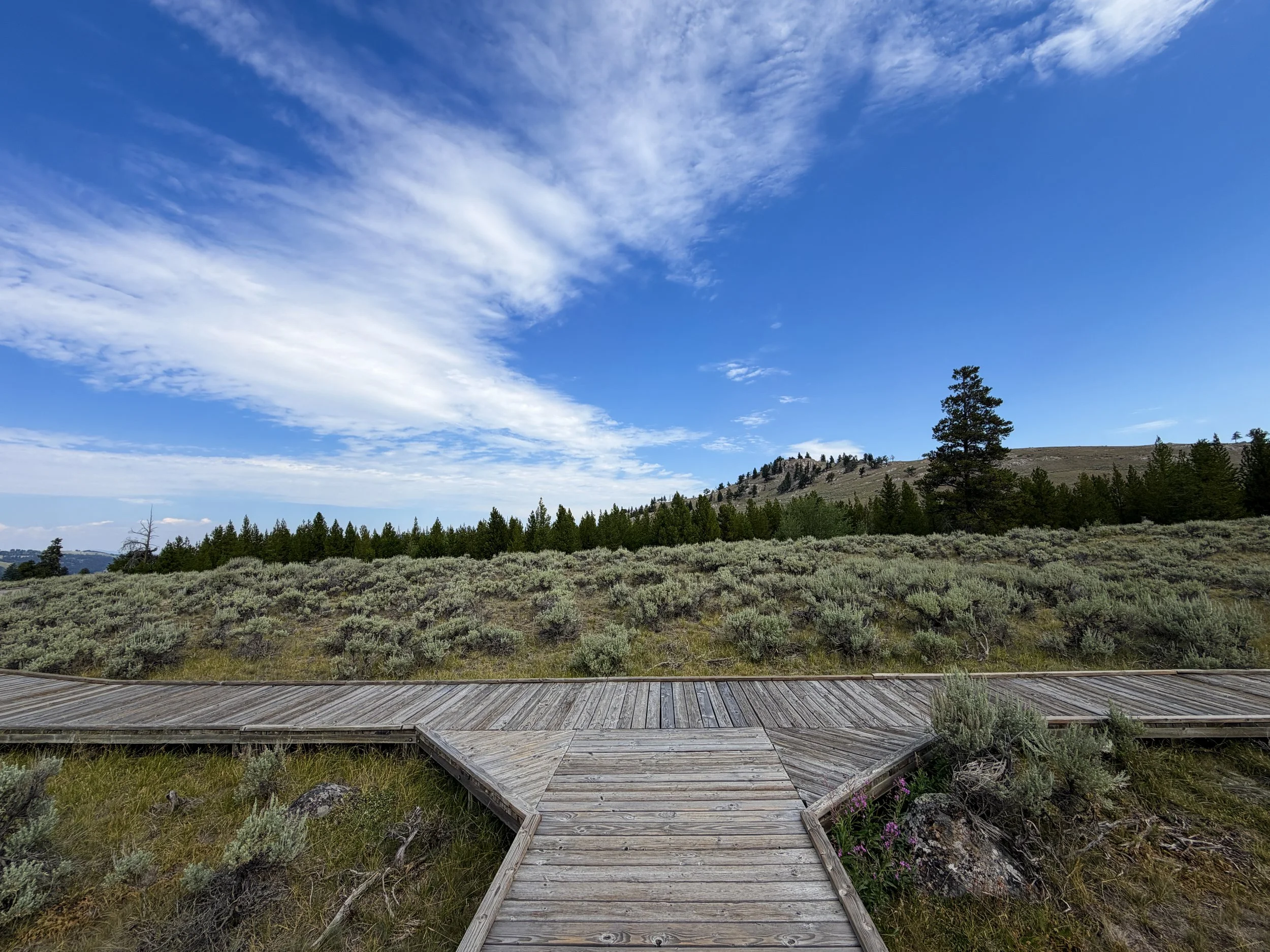 Forces of the Northern Range Trail Yellowstone National Park Wyoming