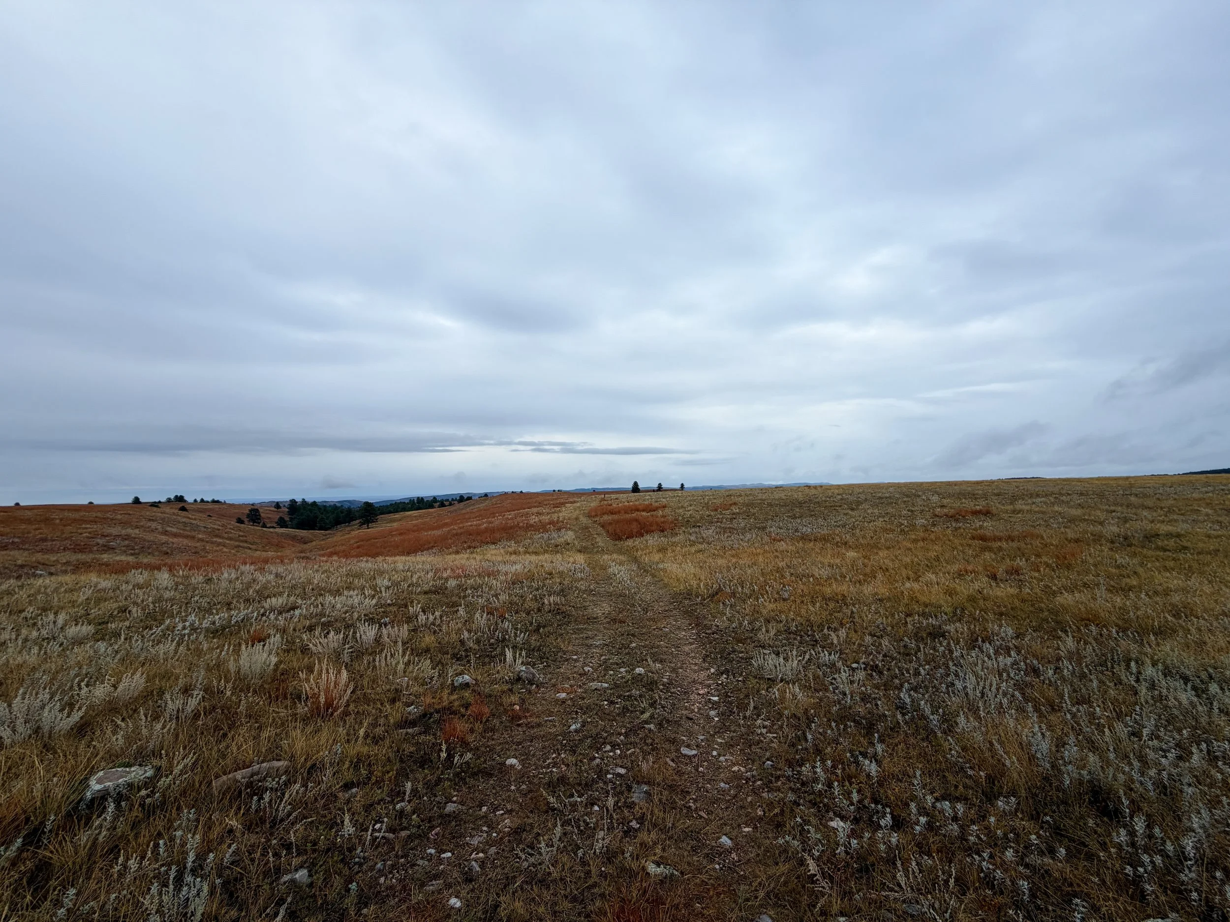 Highland Creek Trail Wind Cave National Park South Dakota