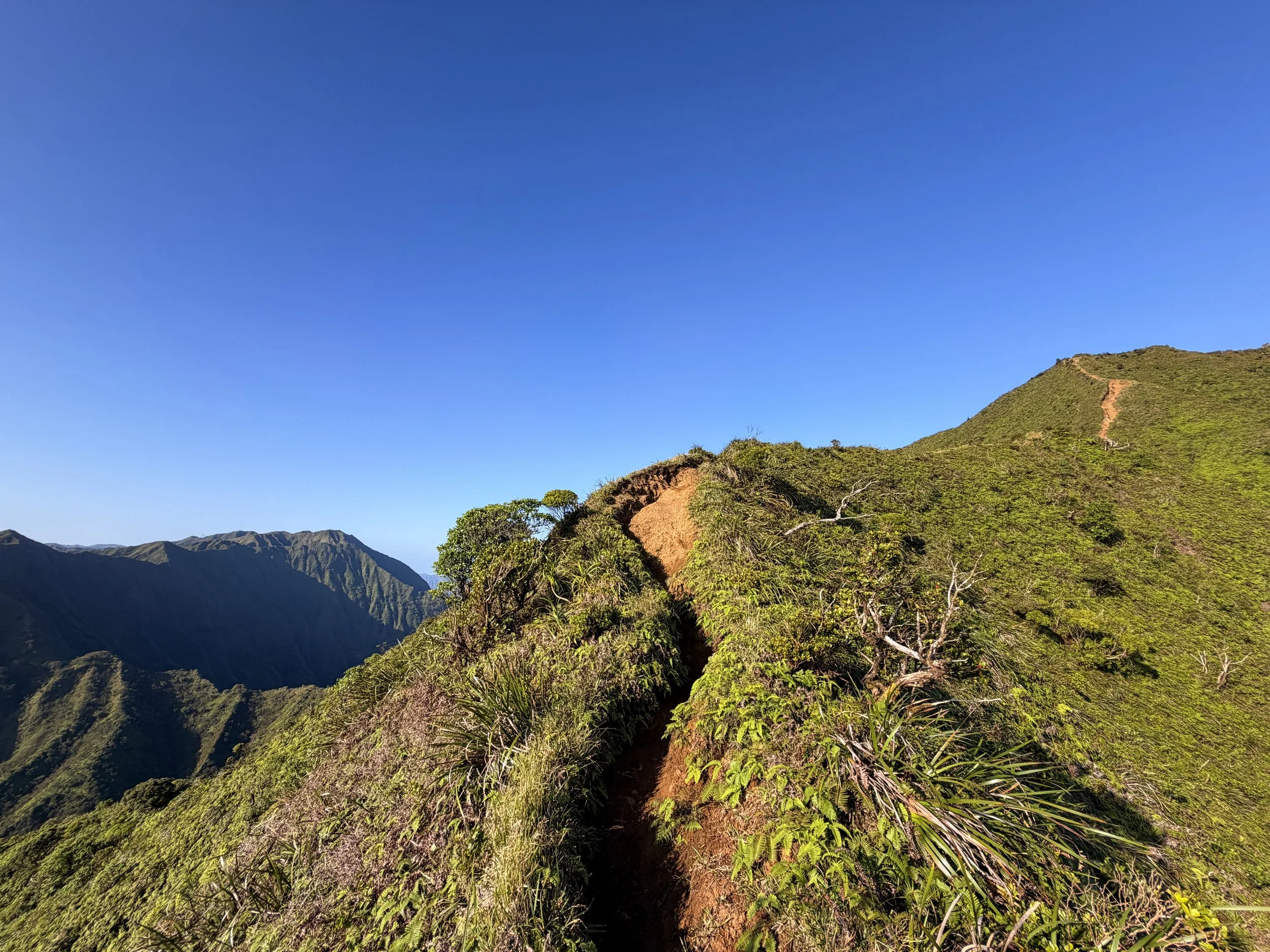 Moanalua Middle Ridge Trail Back Way to Stairway to Heaven Oahu Hawaii