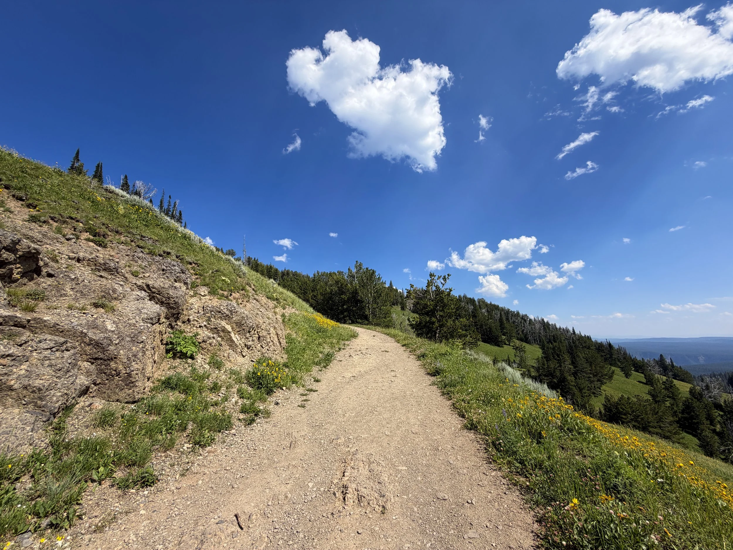 Mt. Washburn Trail via Dunraven Pass Yellowstone National Park Wyoming