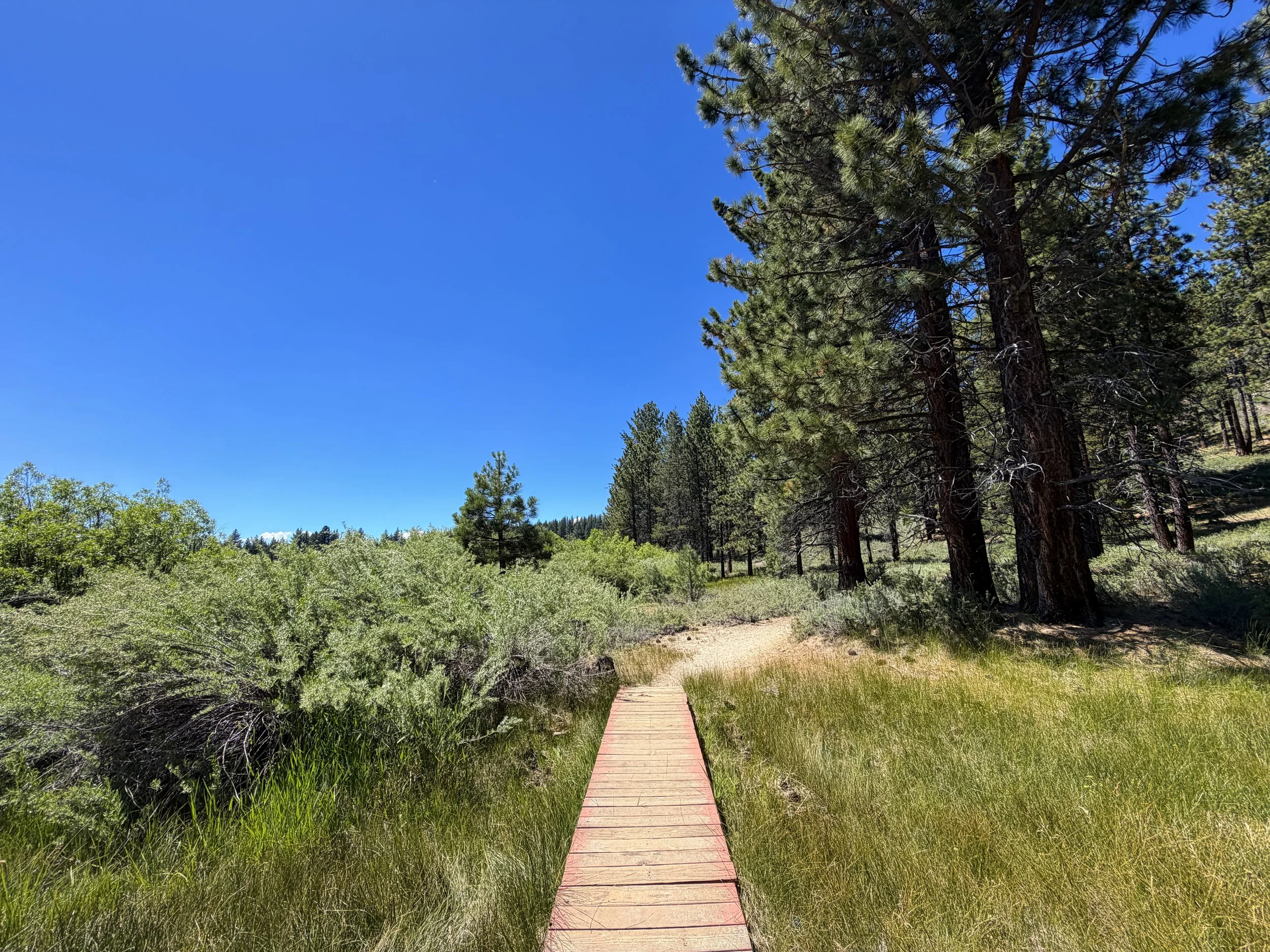 Spooner Lake Loop Hike Lake Tahoe Nevada