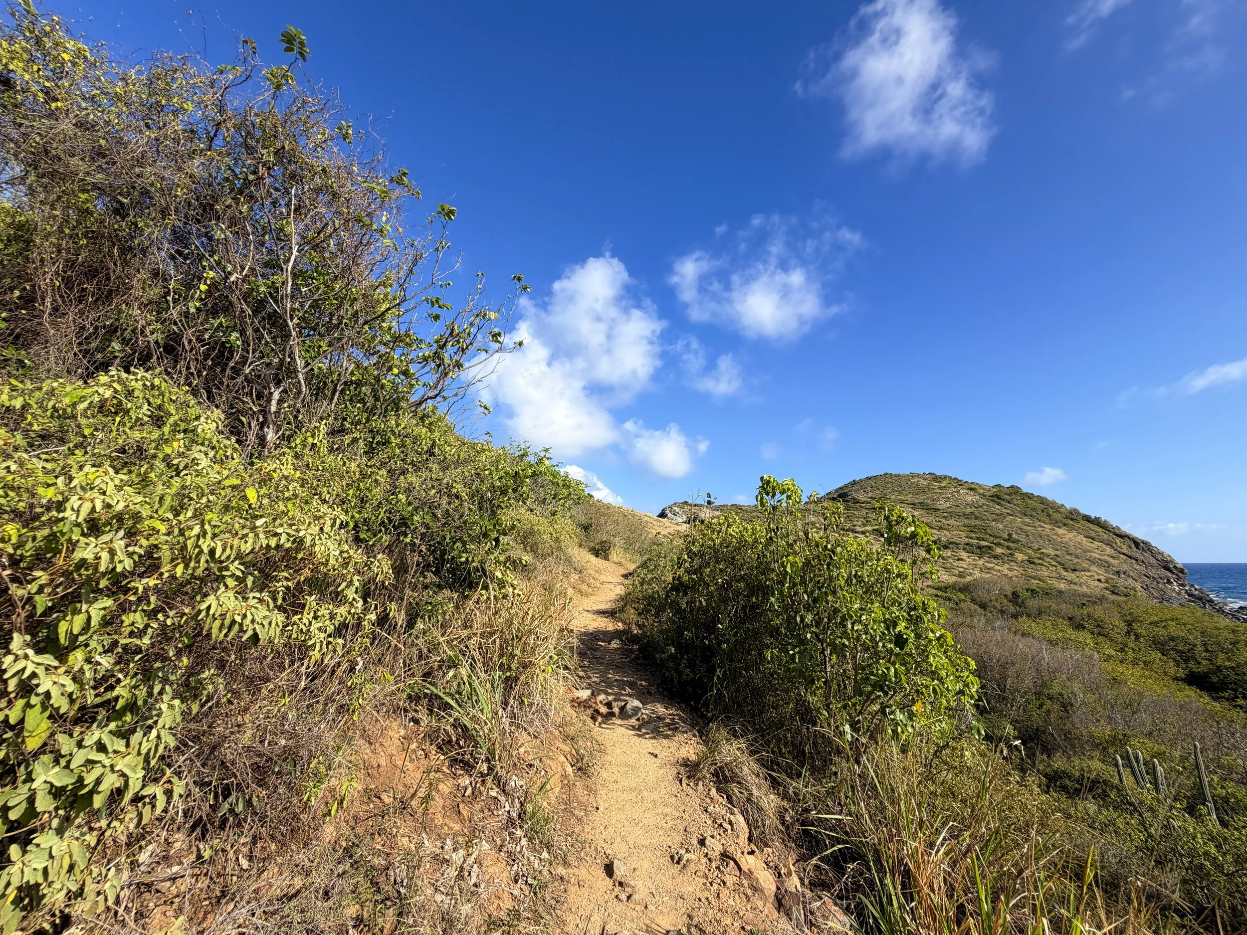 Ram Head Trail Virgin Islands National Park